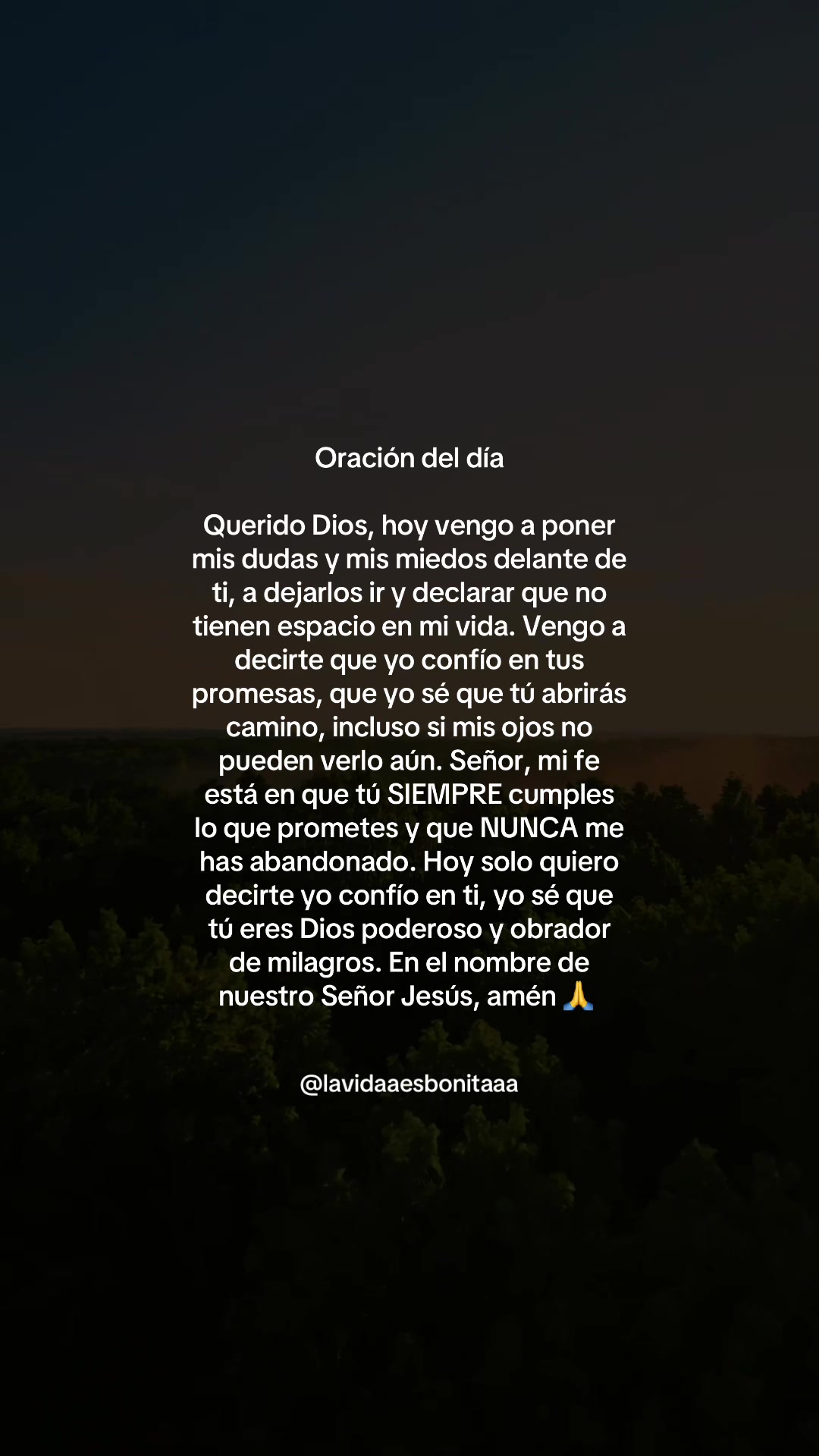 @vidabonita❤️🩹
