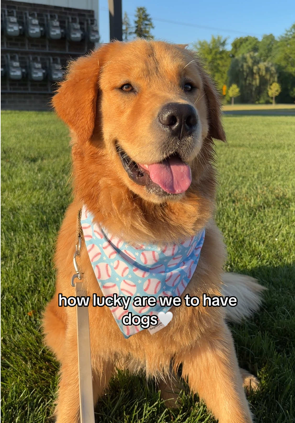 @Teddy🧸