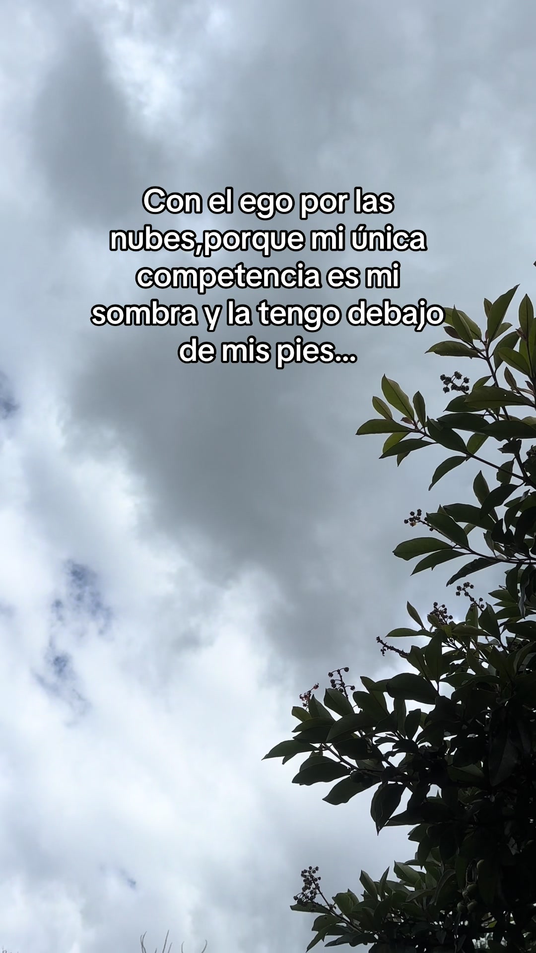 @Ary lopez