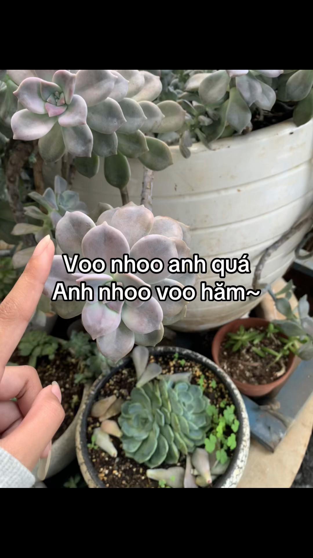 @Măm Tẻnn ᴥ