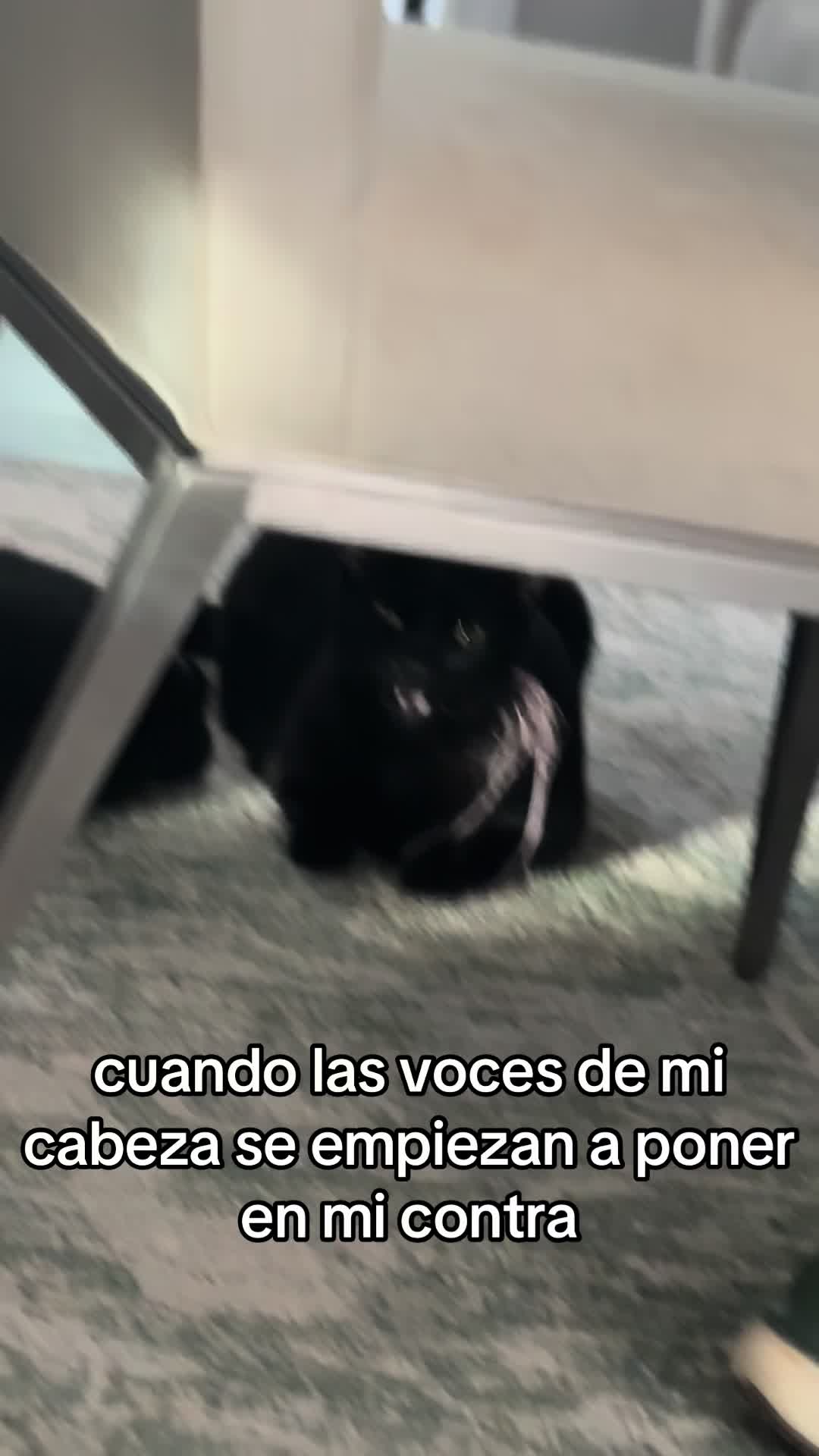 @Eros luna