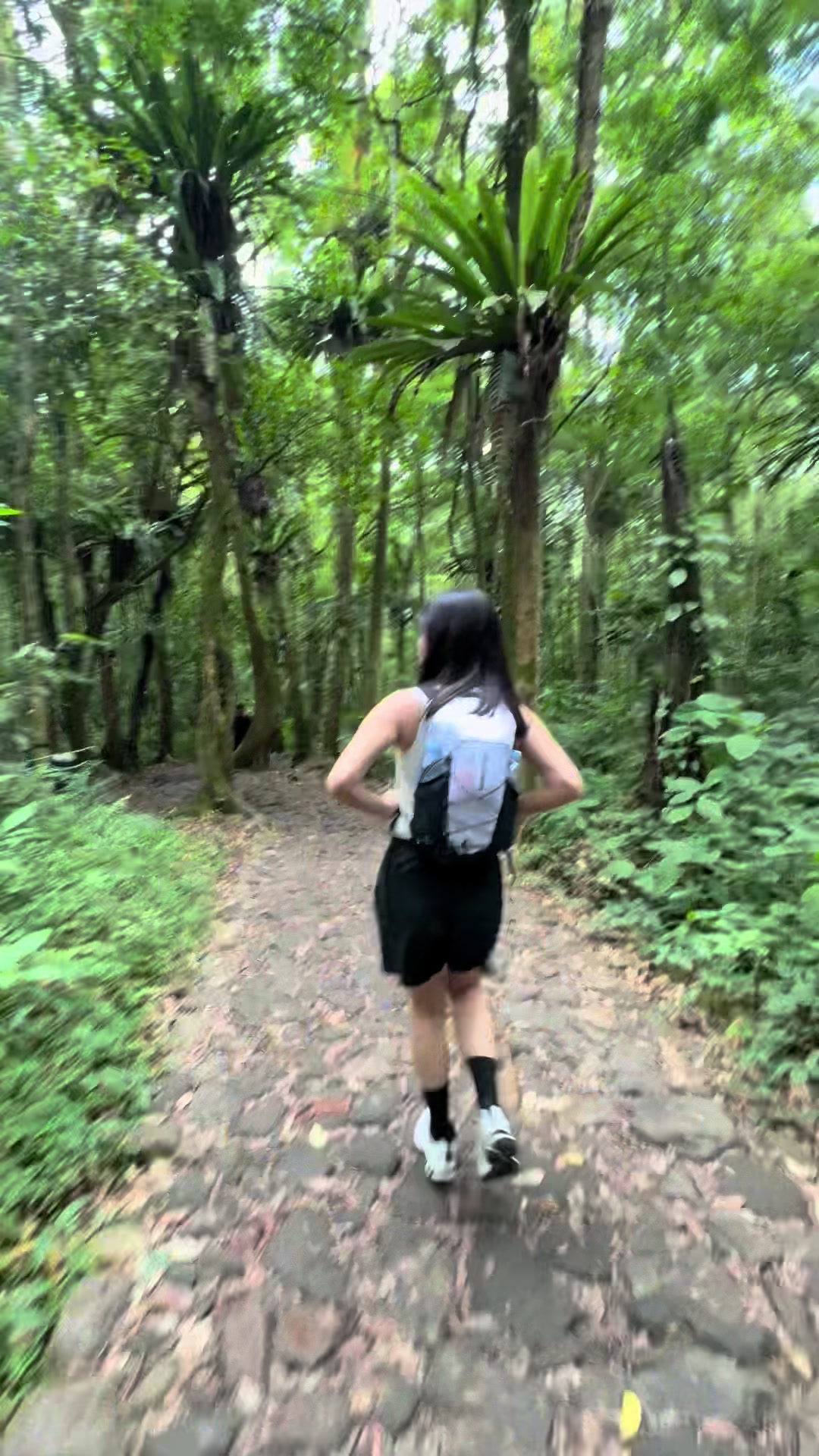 @adel.revaa