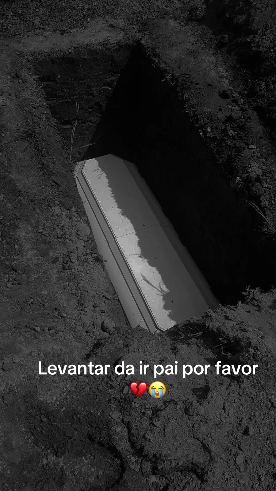 @nayanemeyr