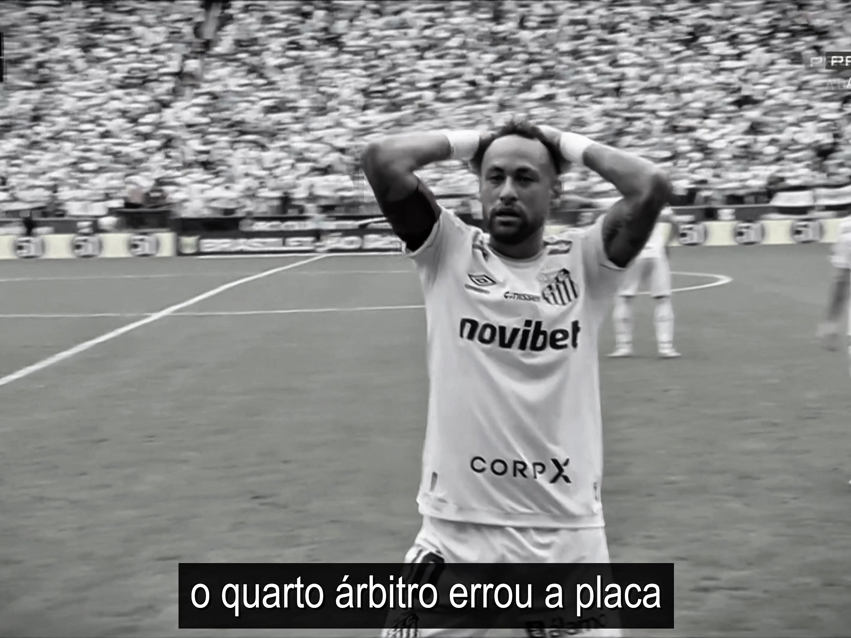 @bernardonj