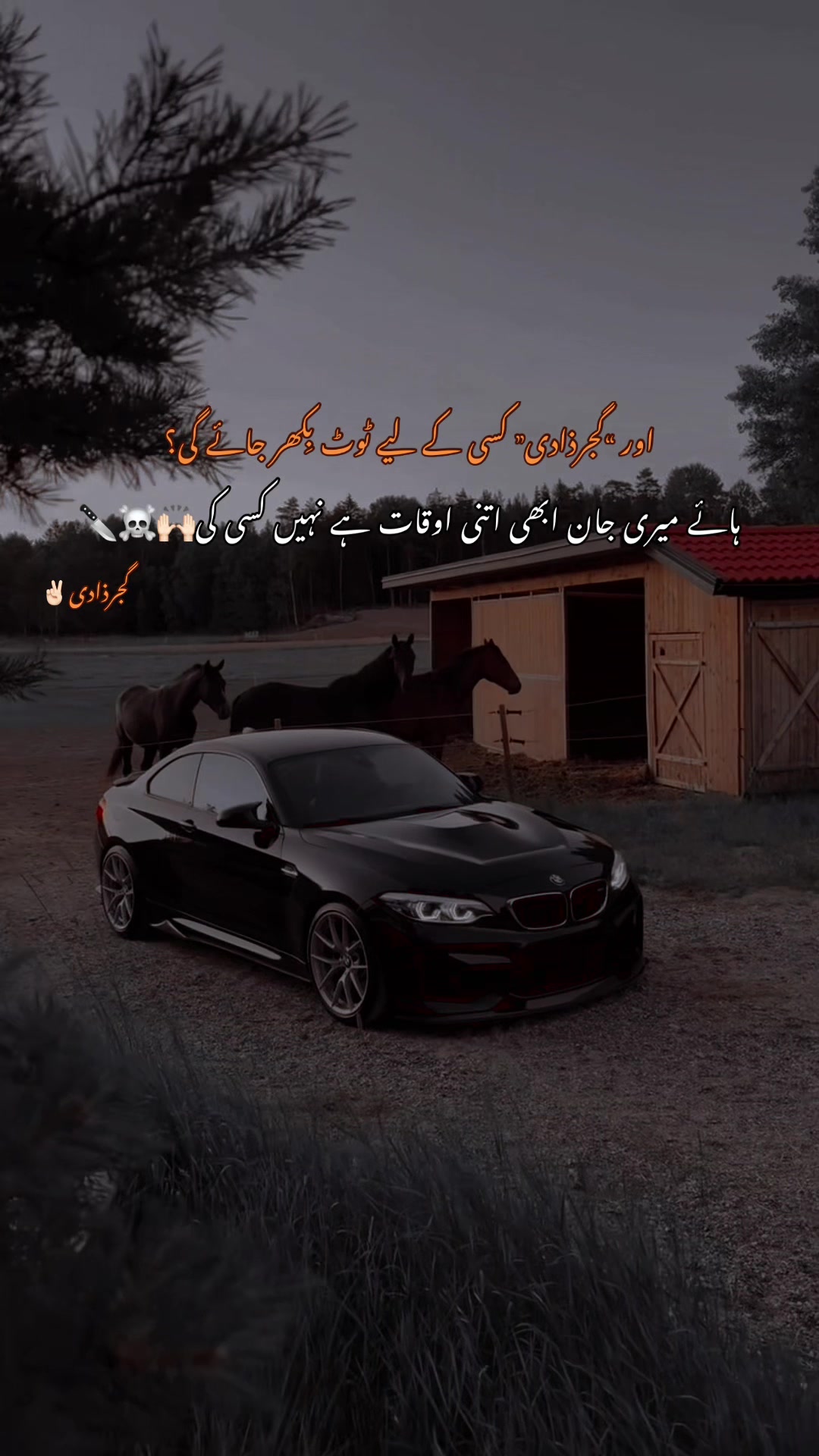 @گجرذادی✌🏻