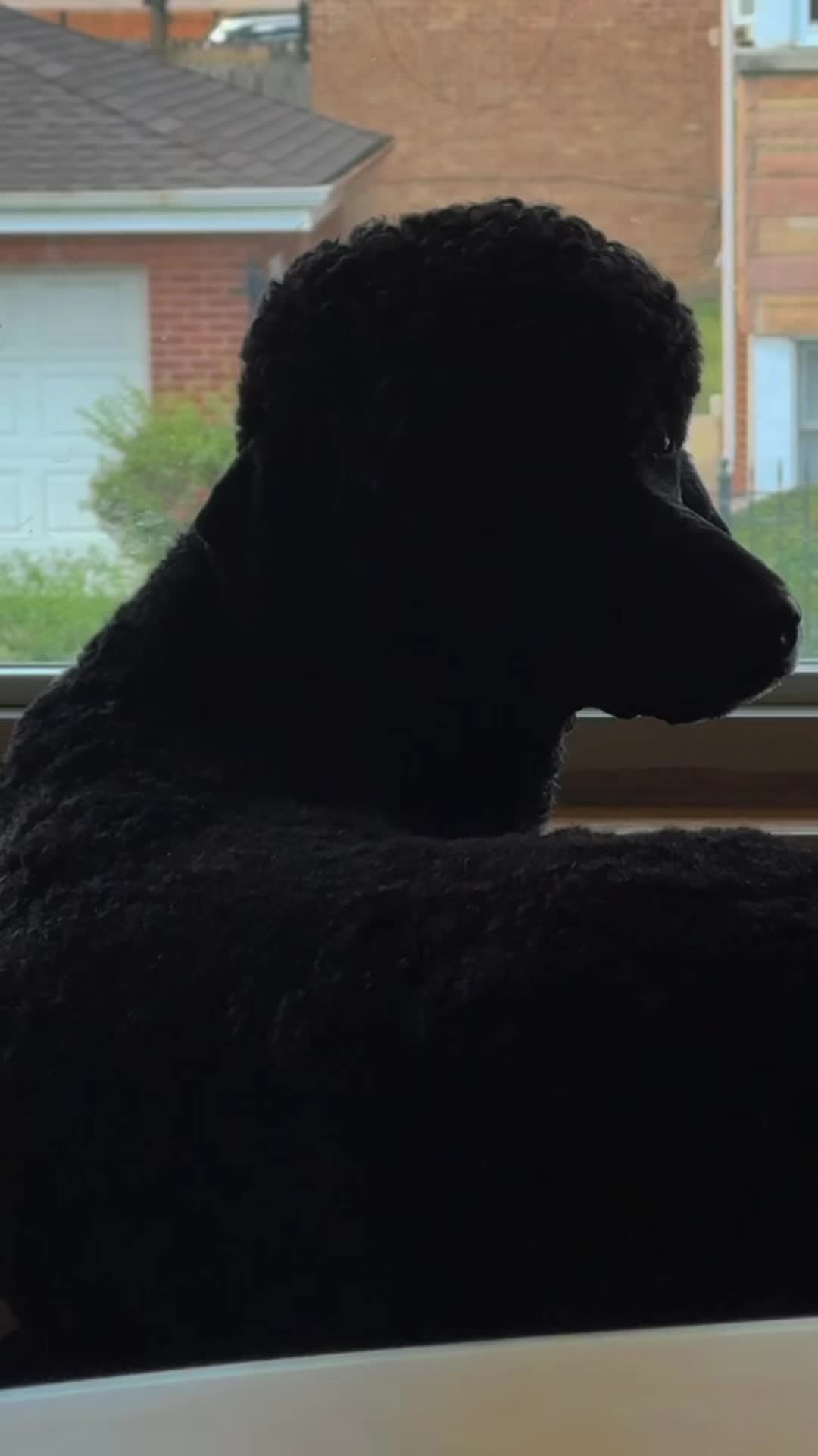 @packwalkdiaries