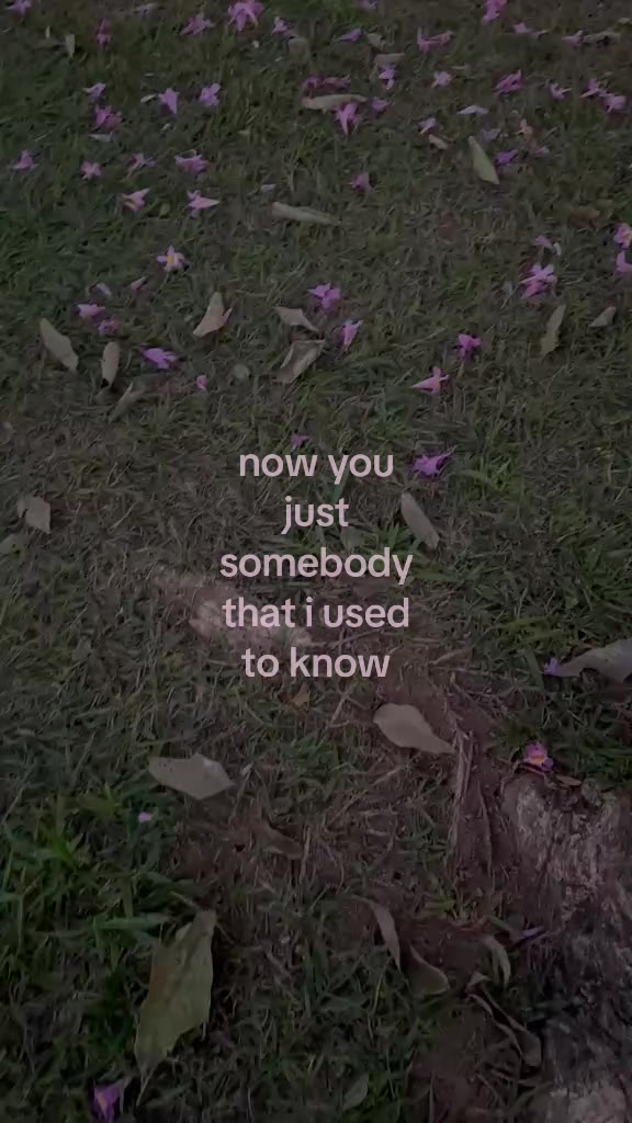 @lulu