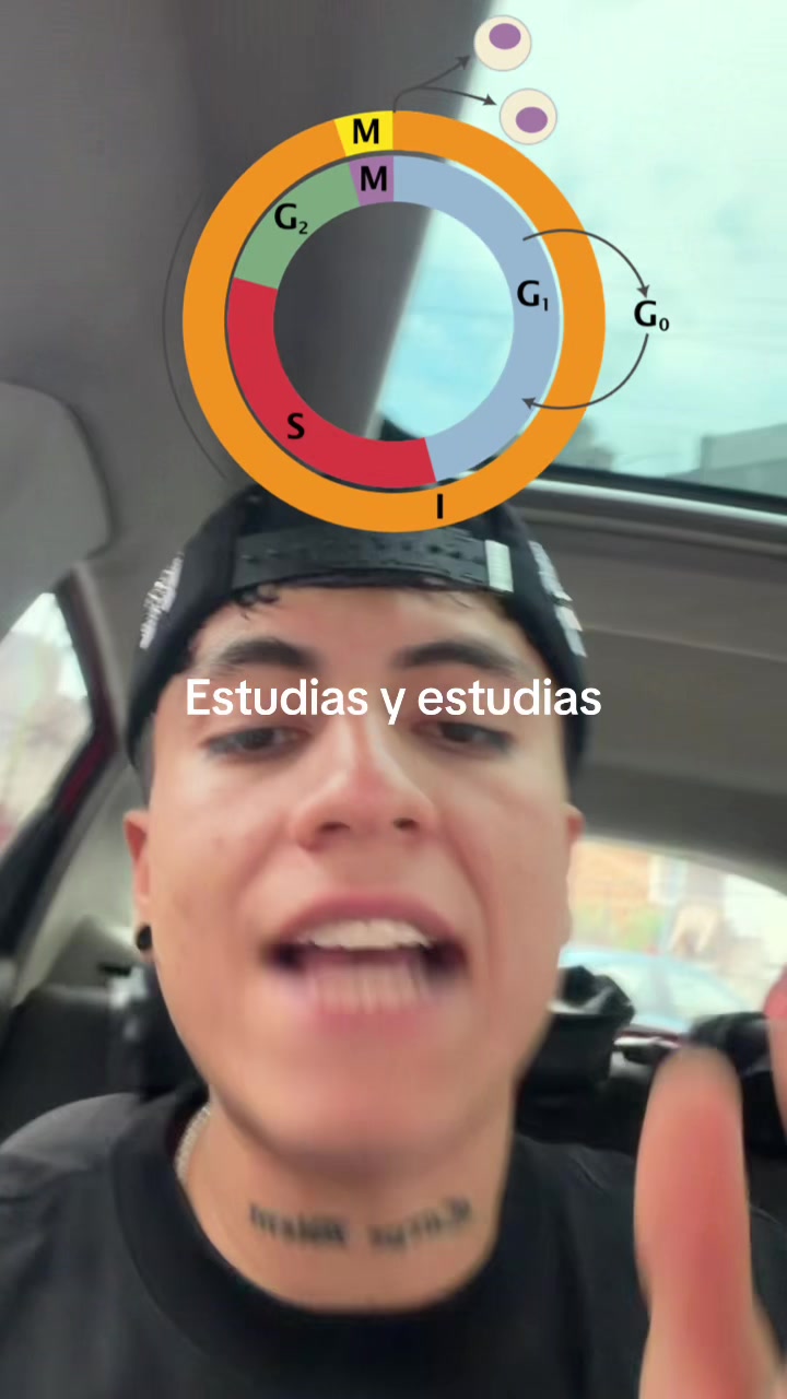 @ENDOBOY