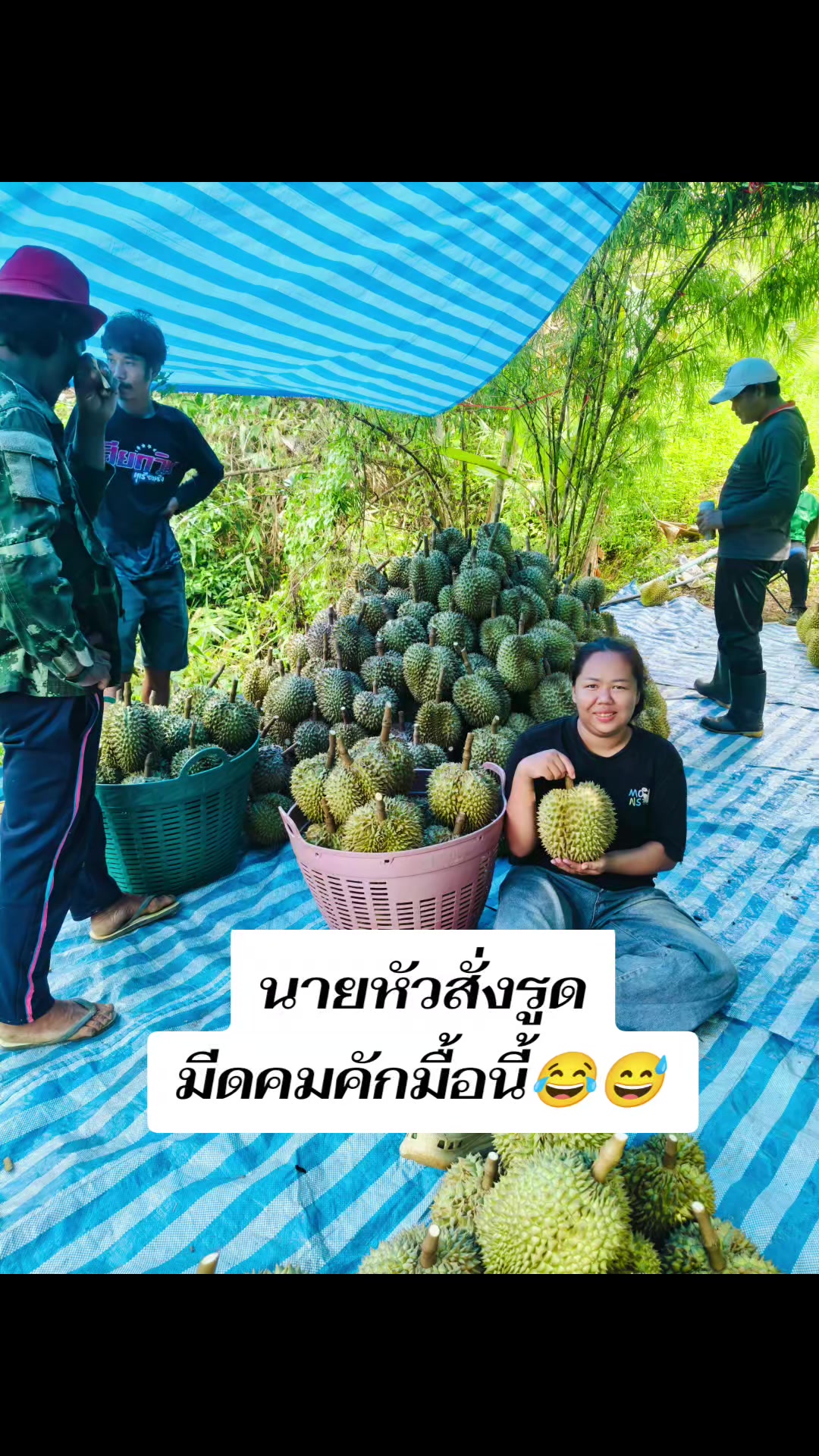 @สุจิตตรา ไชยสงค์