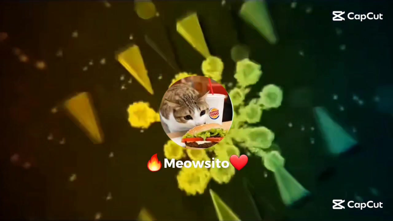 @🔥Meowsito❤️