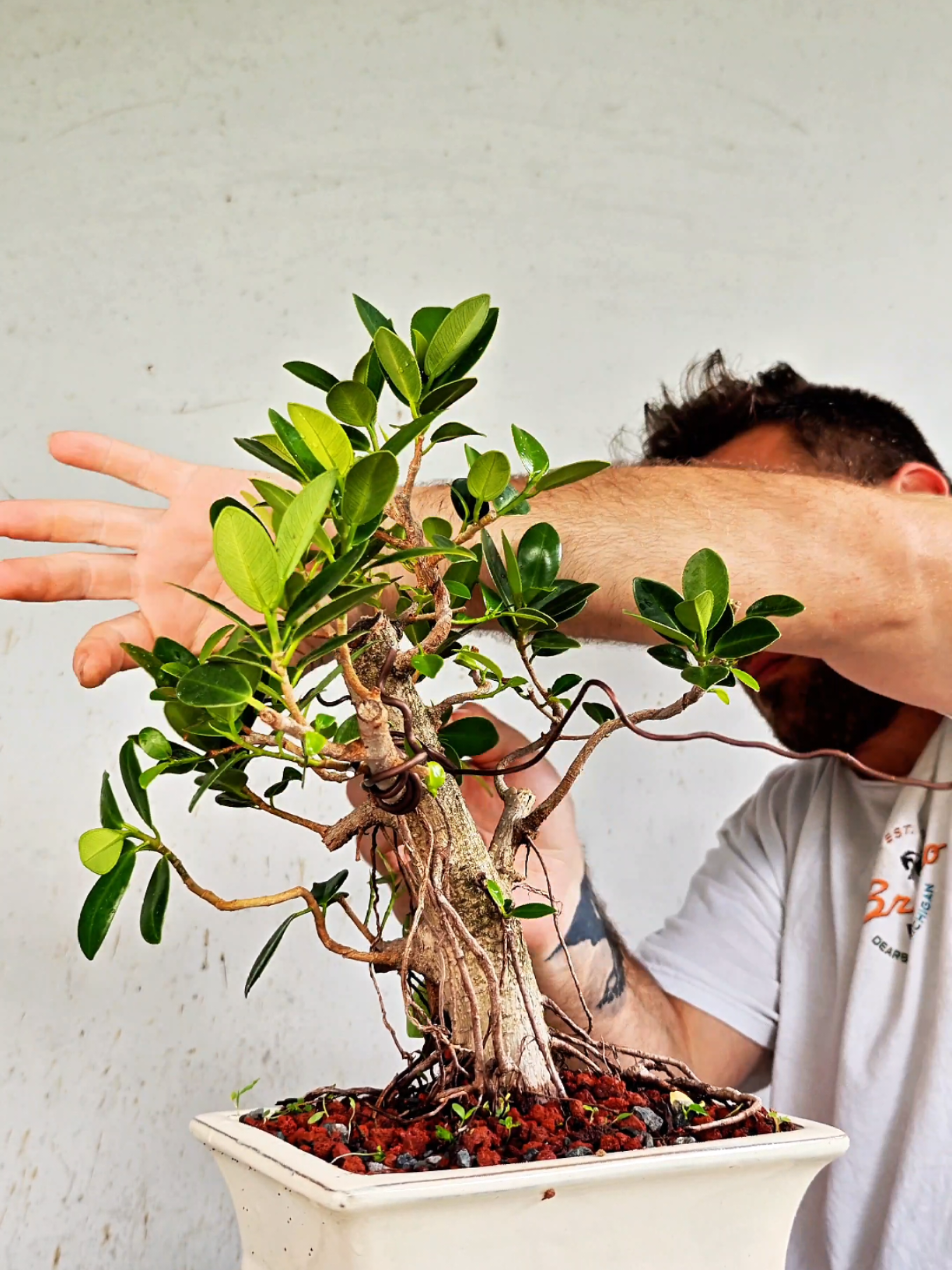 @Bryan Loves Bonsai