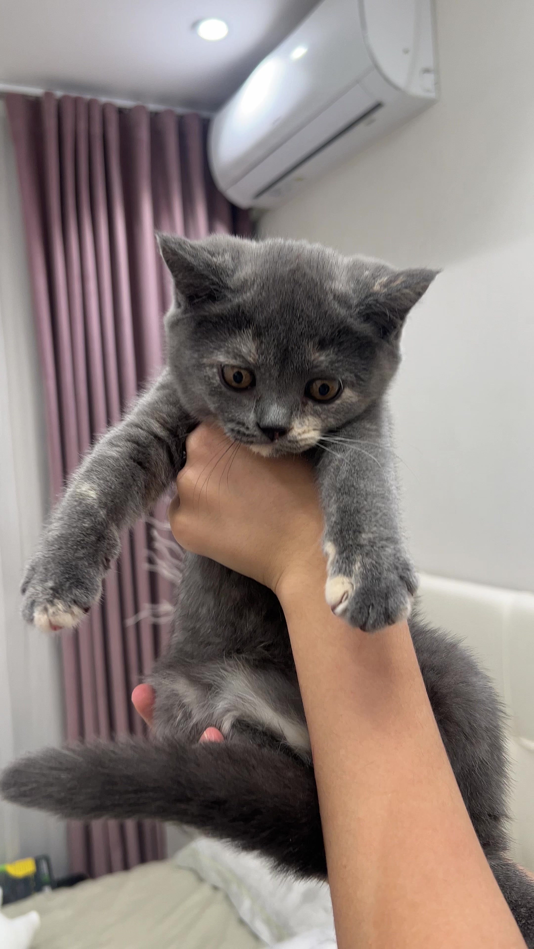@kittens_uz