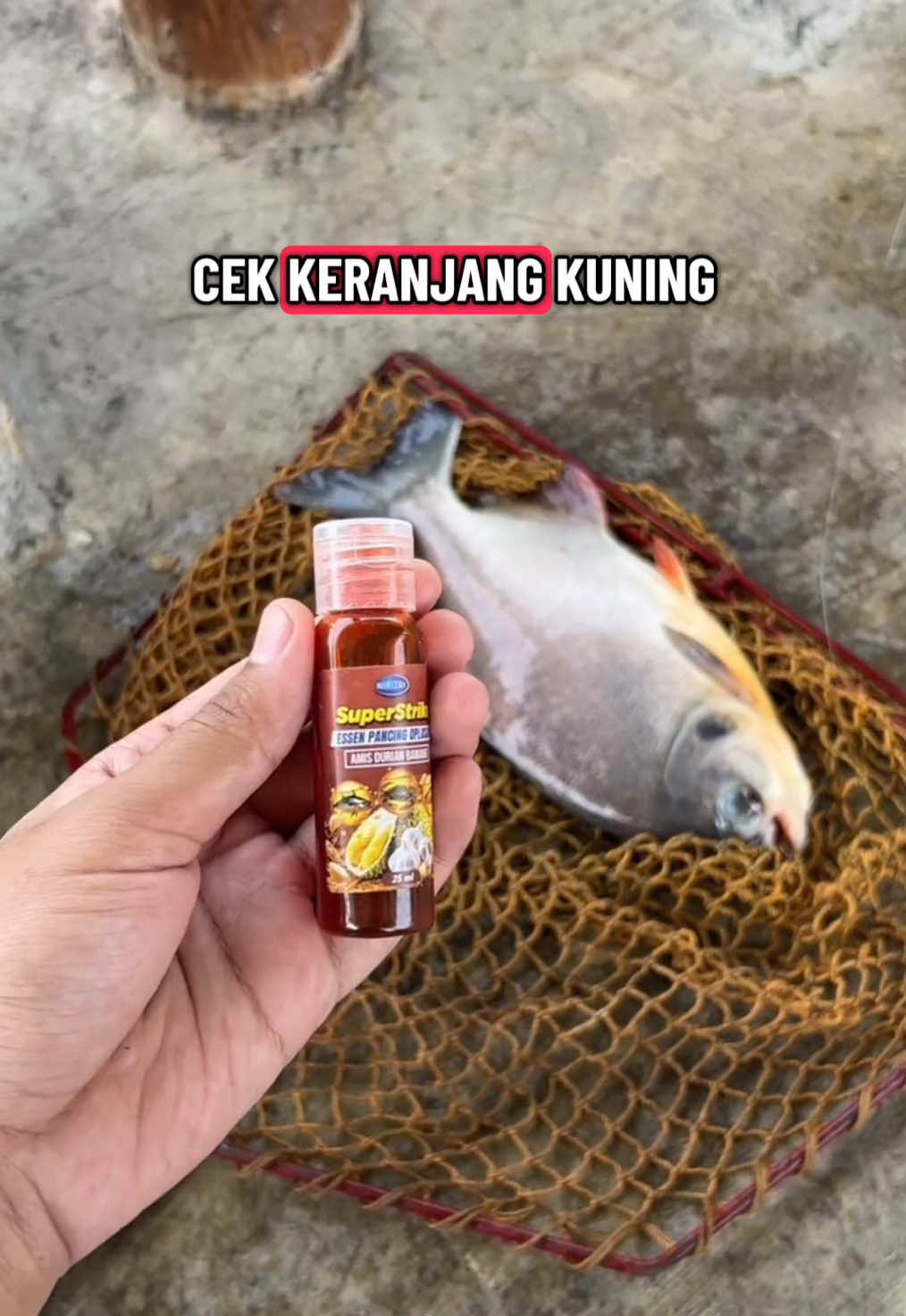 @Andalan Mancing