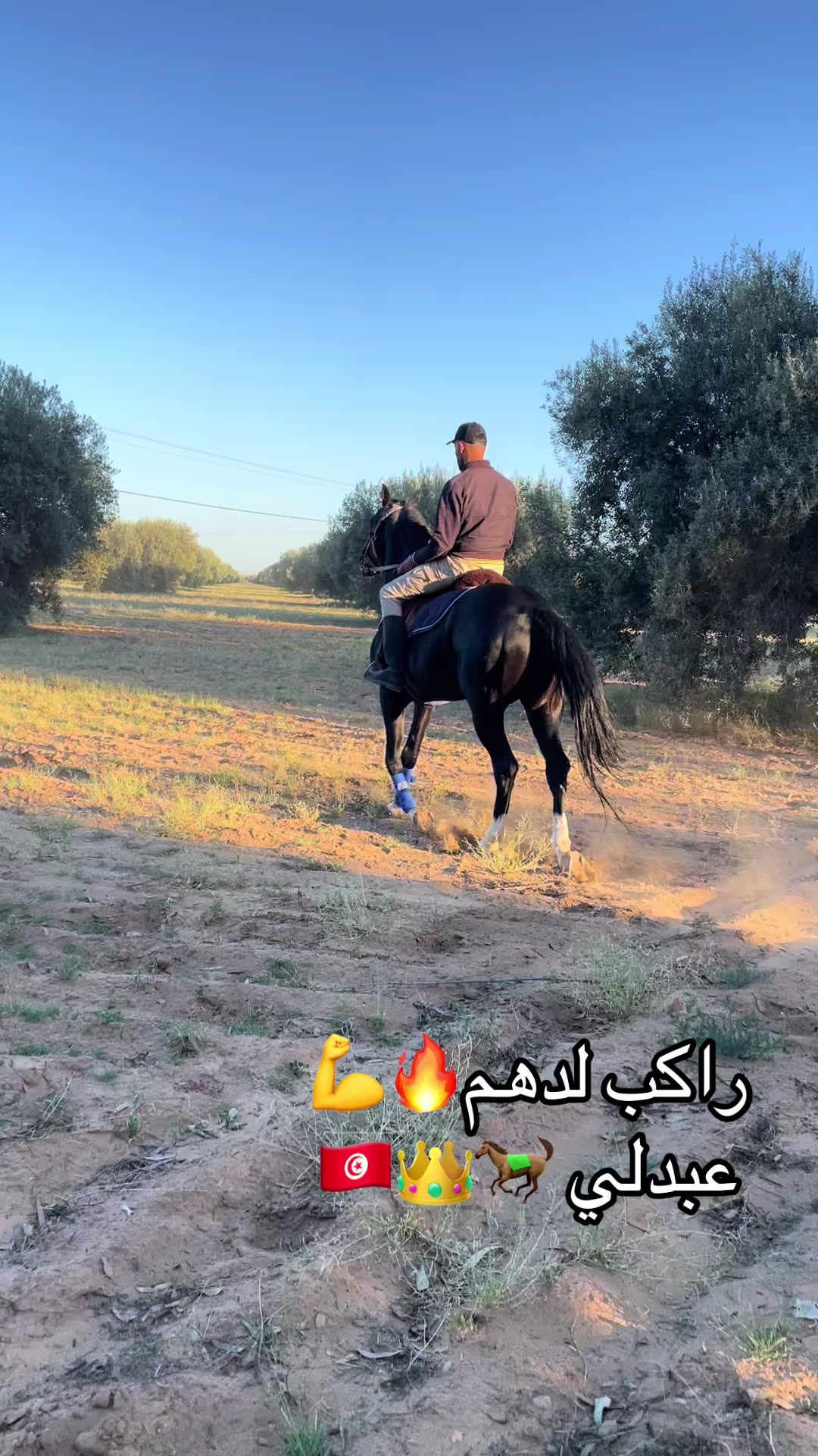 @jasser barhoumi راكب لدهم