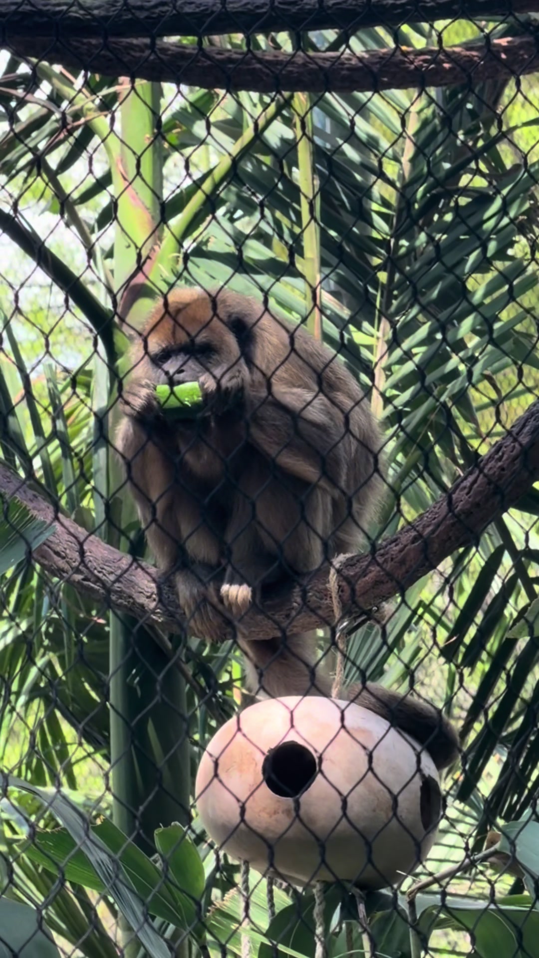 @just animals 🐾🦁🐬🦎