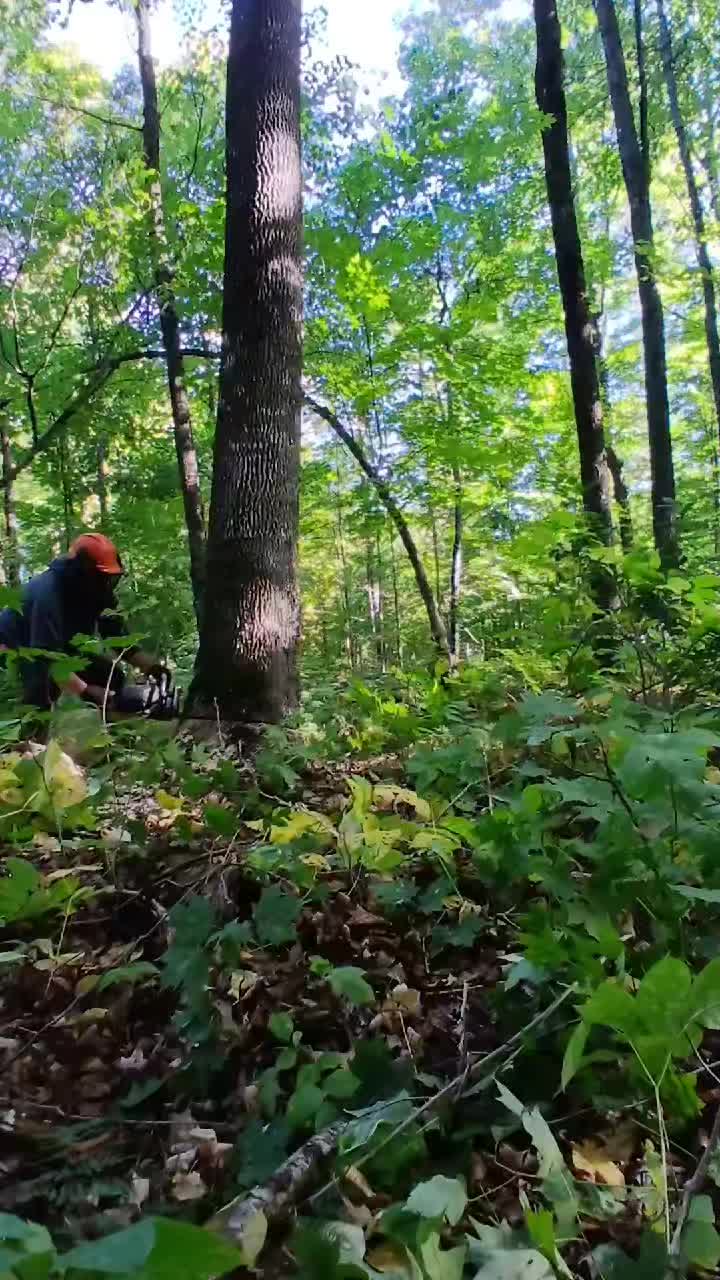 @JoeyLogger
