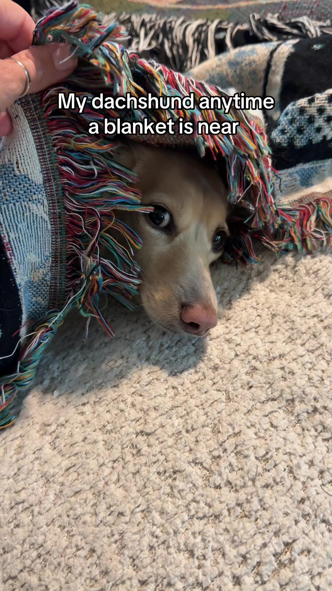 @Billiebeantheween