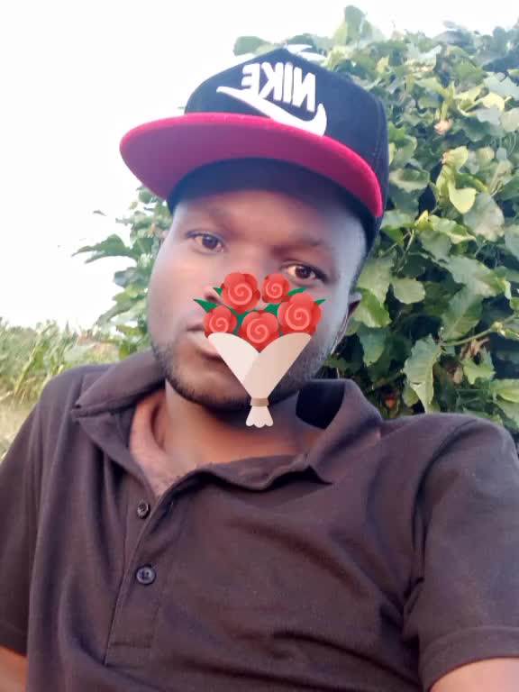 @feic Boy95tz
