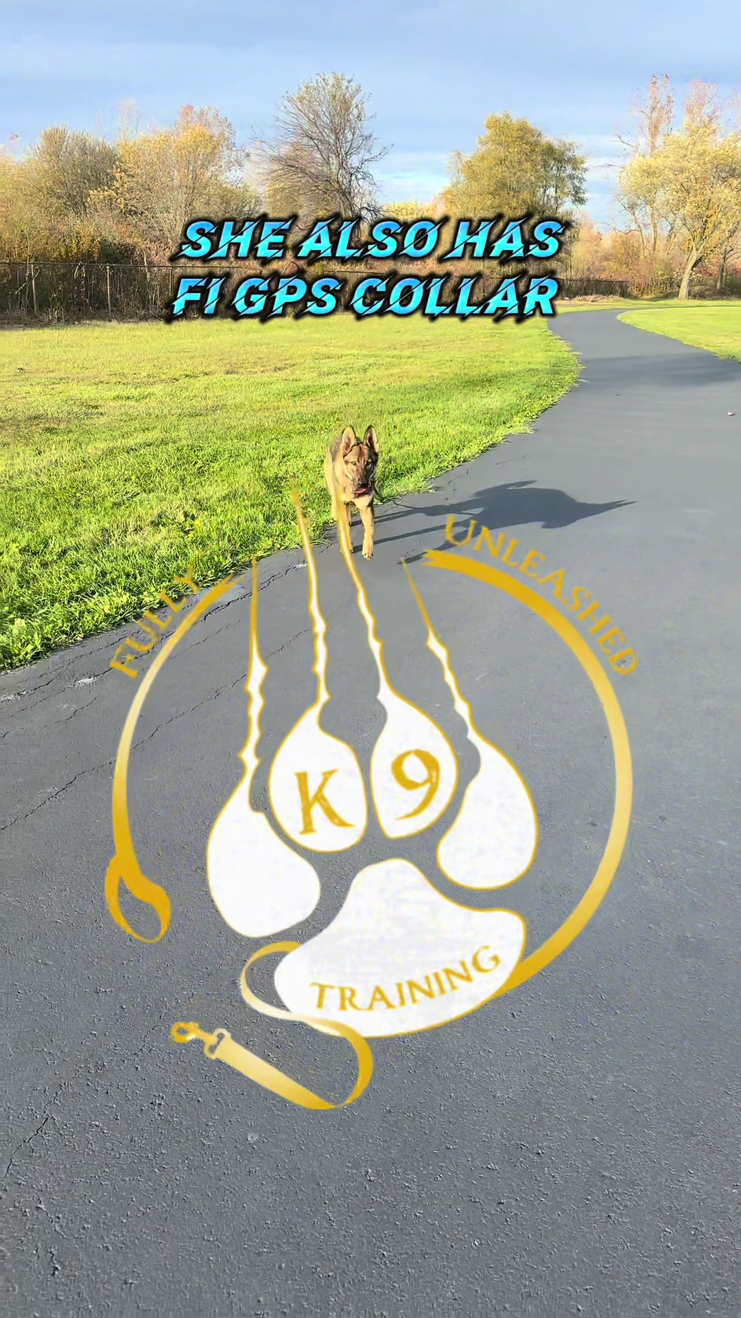 @Fully Unleashed K9 Training