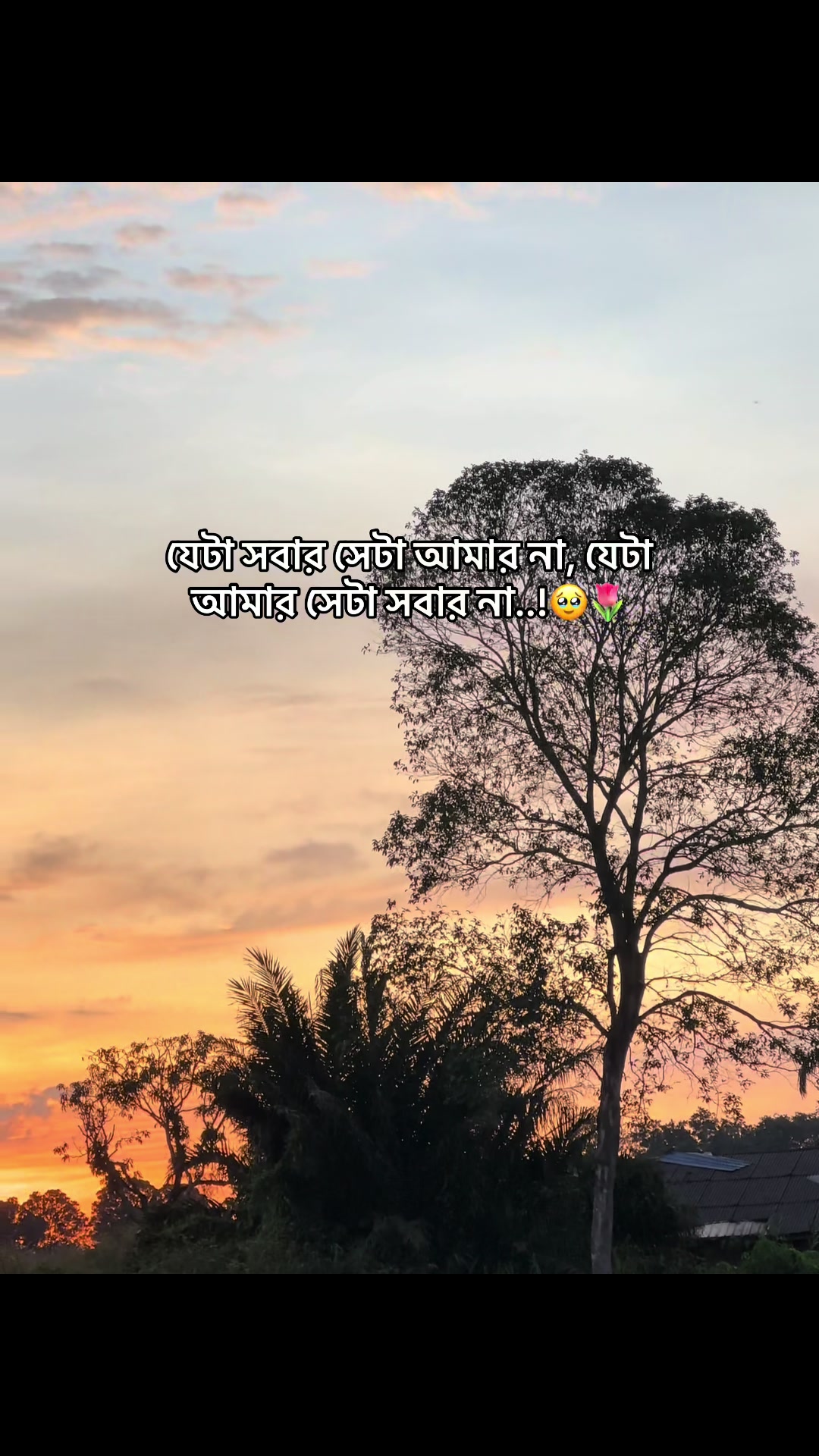 @đ° đĻ đ đ đ đ đ°'âĄ