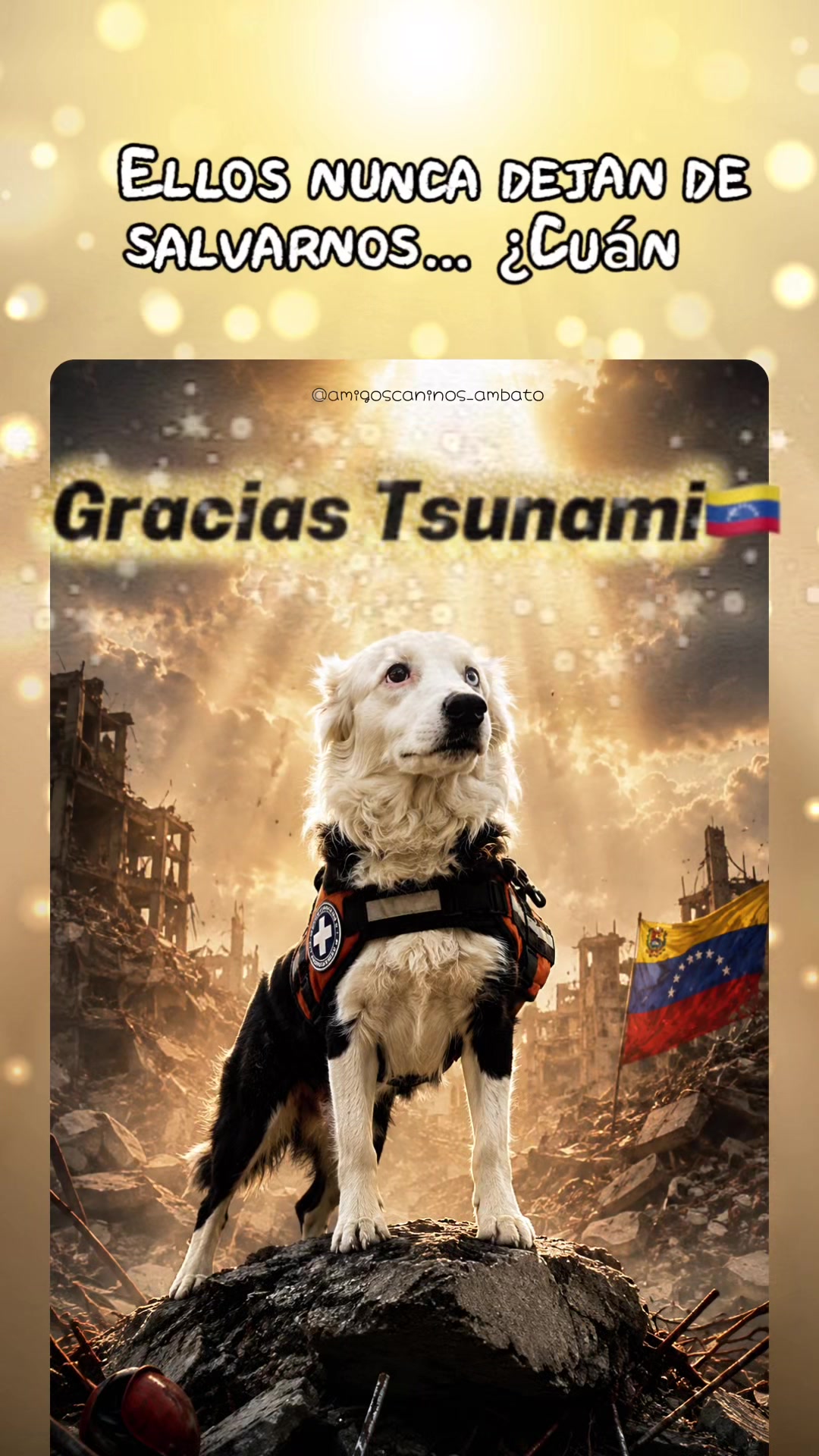 @Amigoscaninos_Ambato