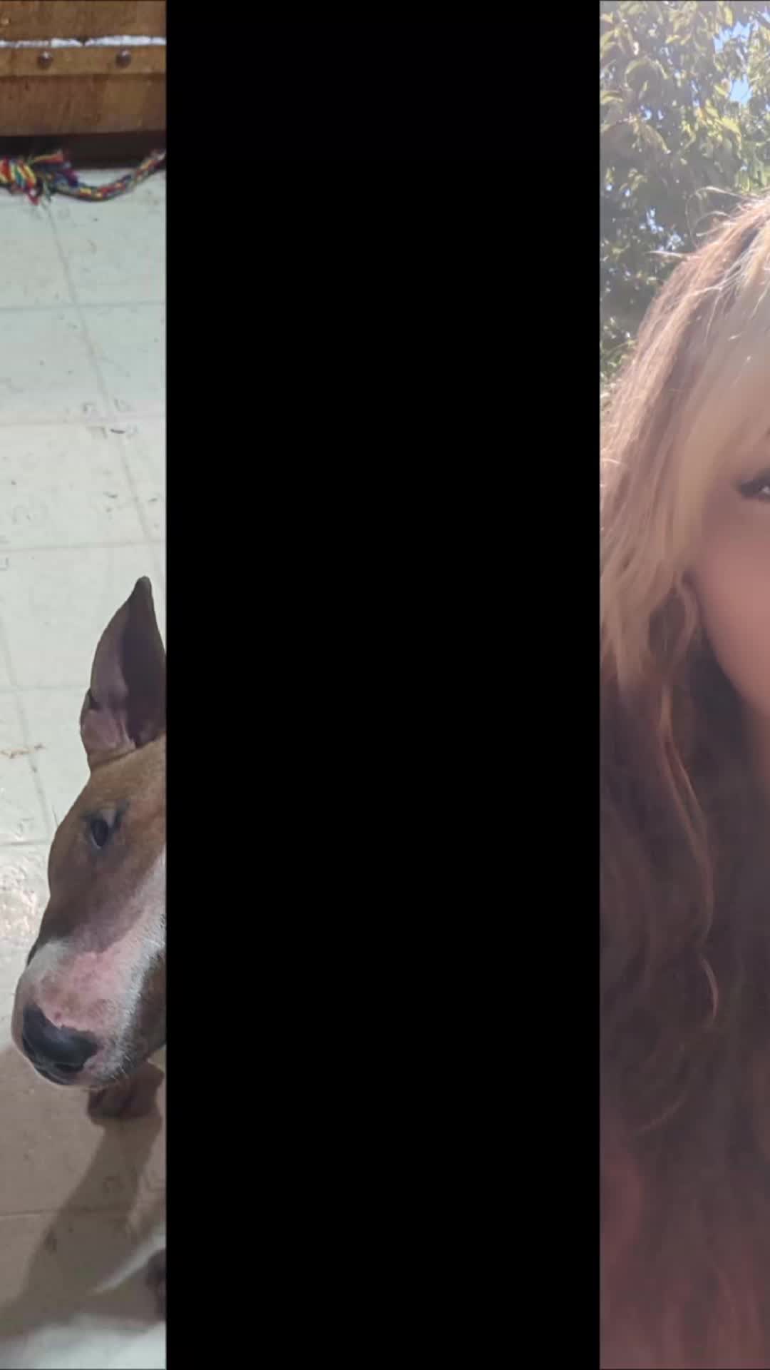 @jessibarbiesbullterrier