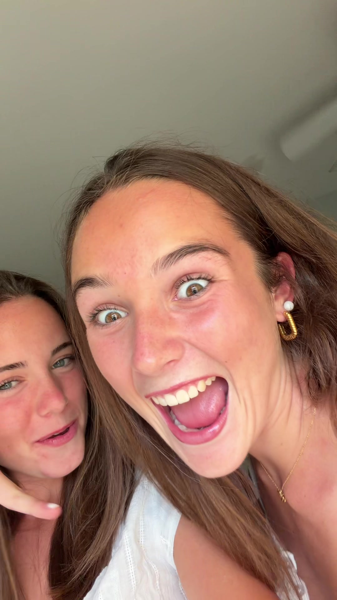 @taylorbuttil