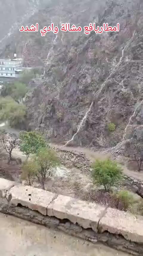 @همام الصهيبي ابو غيث