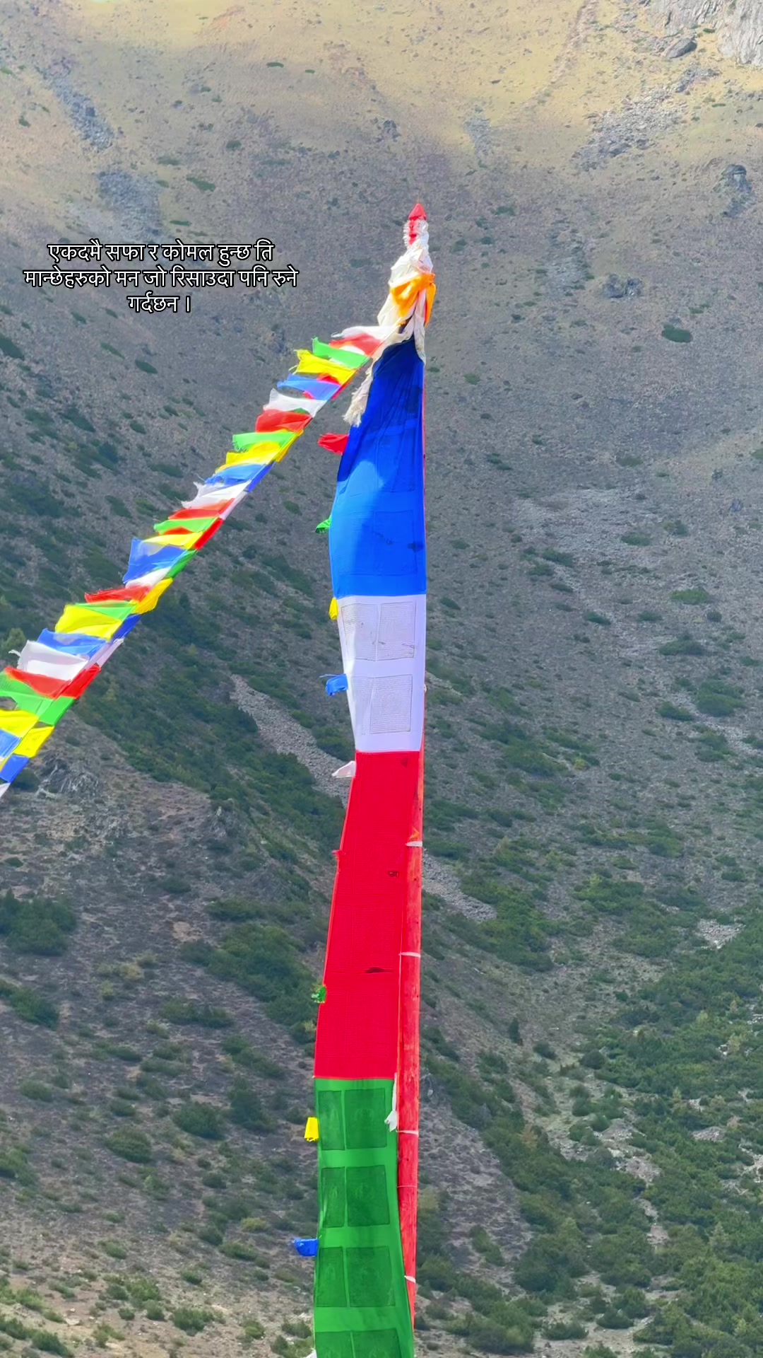 @हुम्ली&ensp;कान्छो