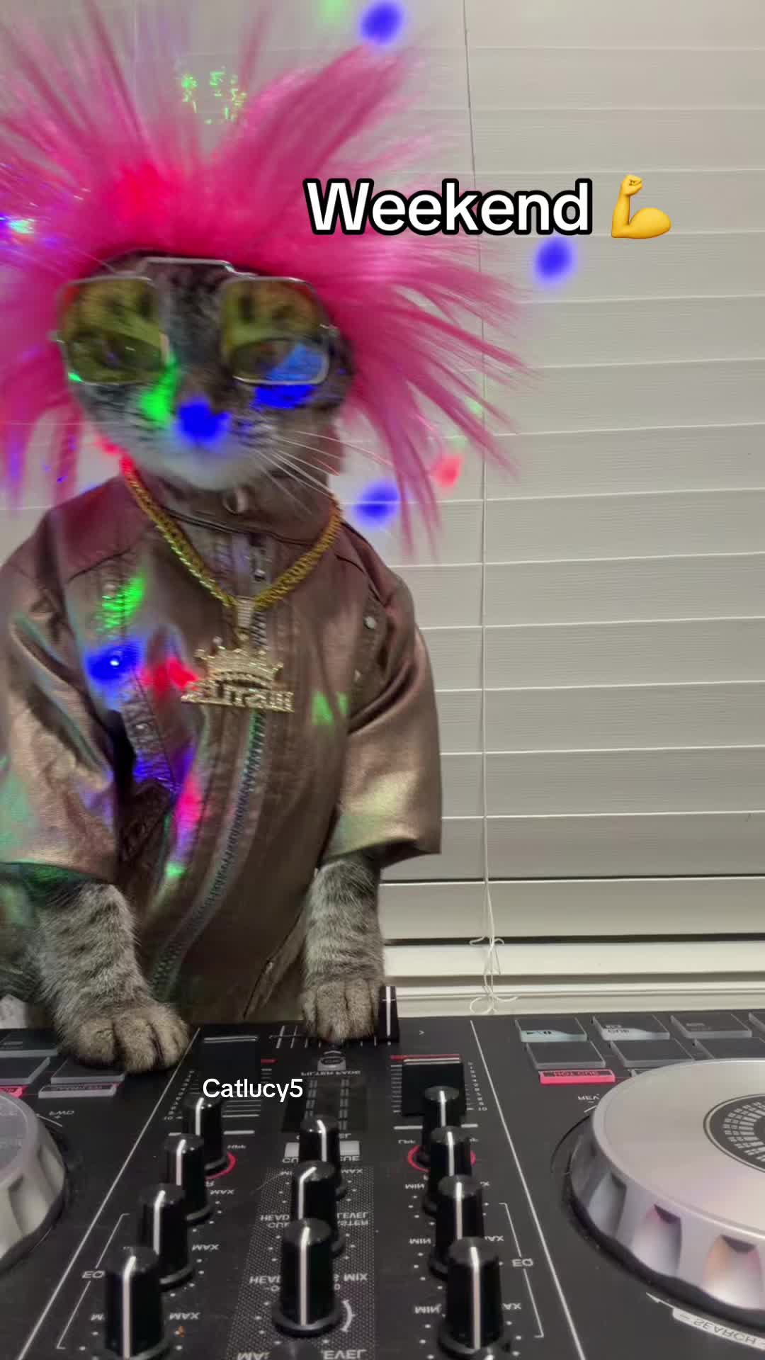 @Cat Lucy