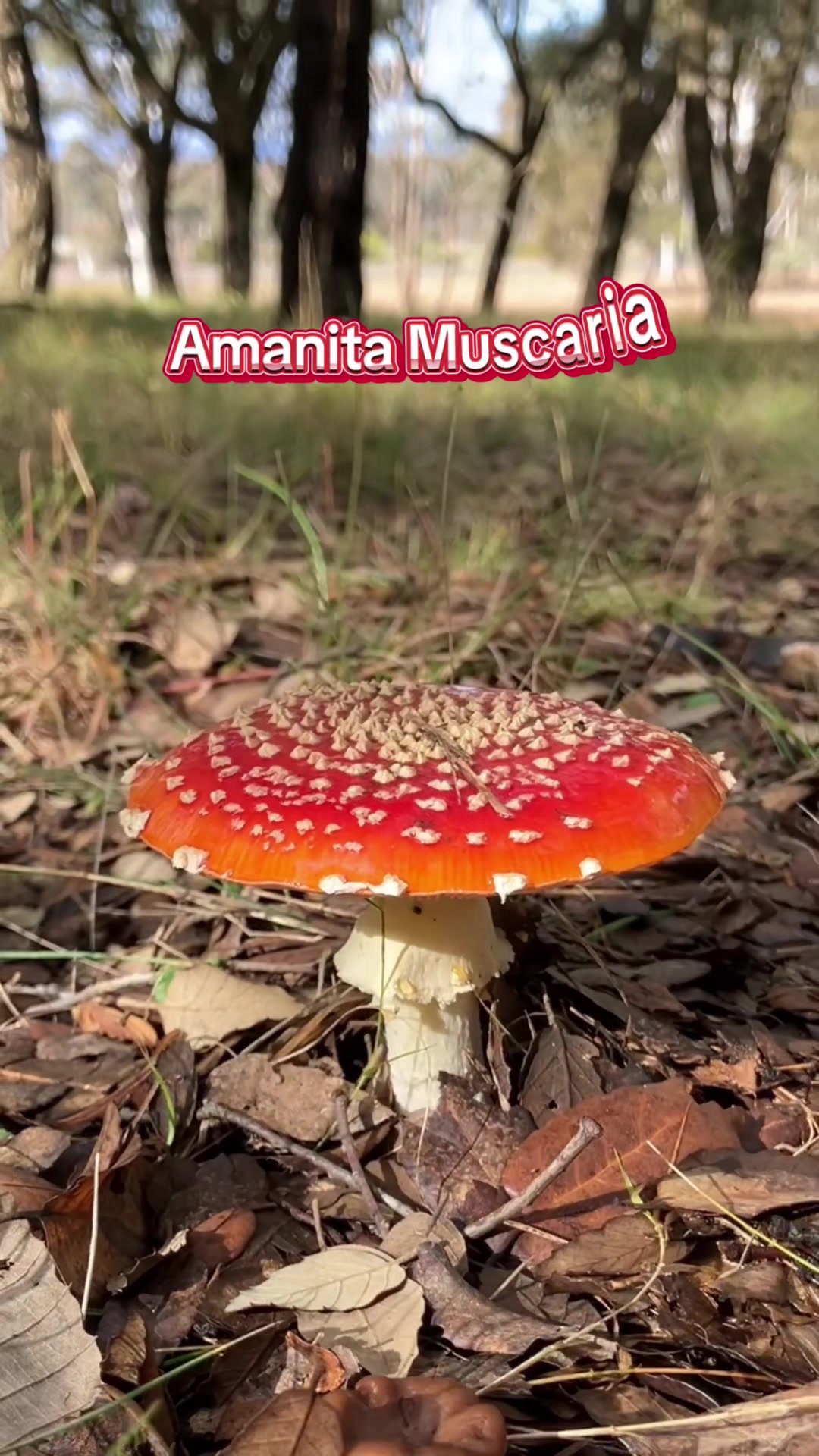 @tinycreativeaddiction