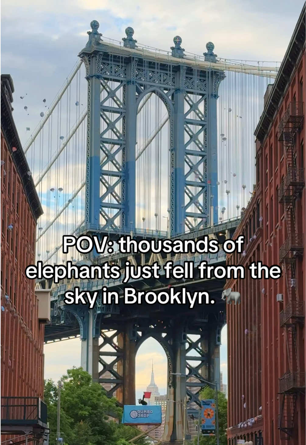 @onlymarty.nyc