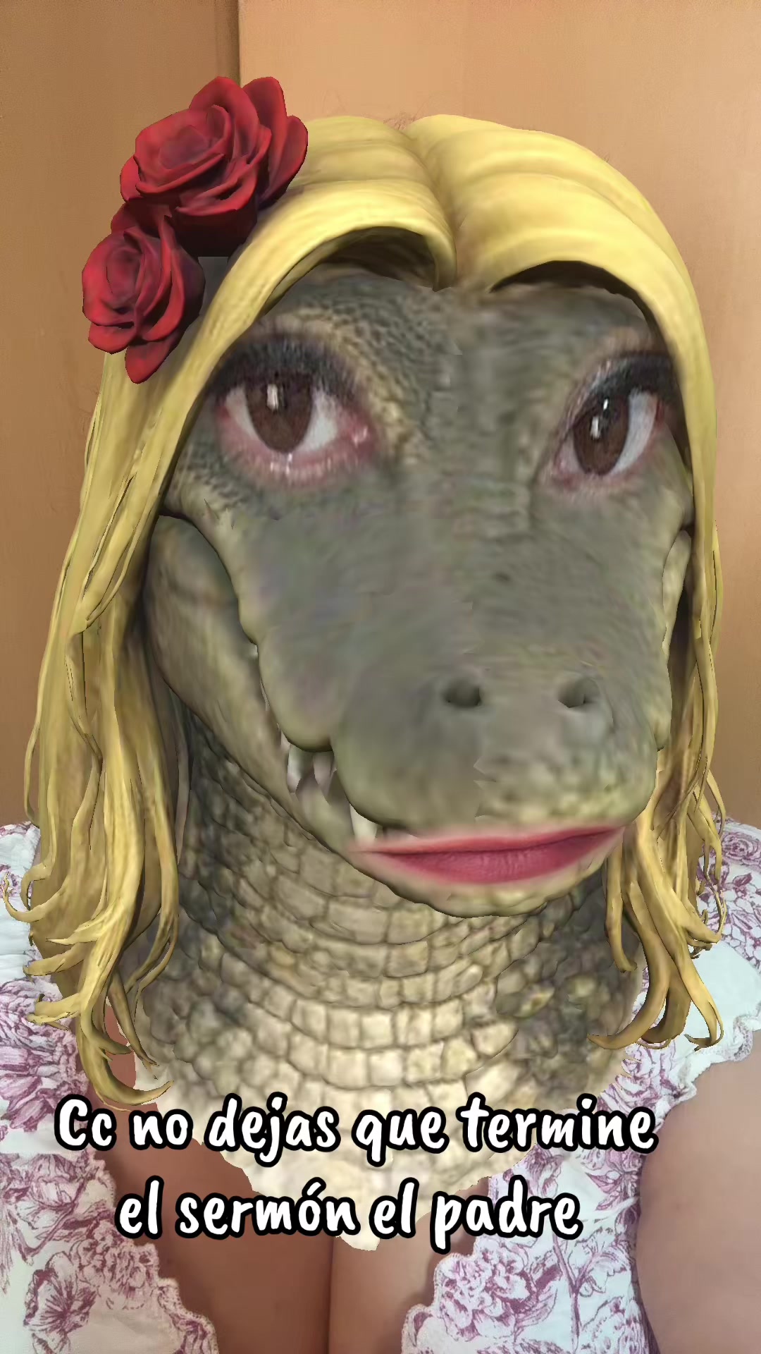 @โ๐ ๐ฆ๐ค๐ค๐๐ฆ๐ป