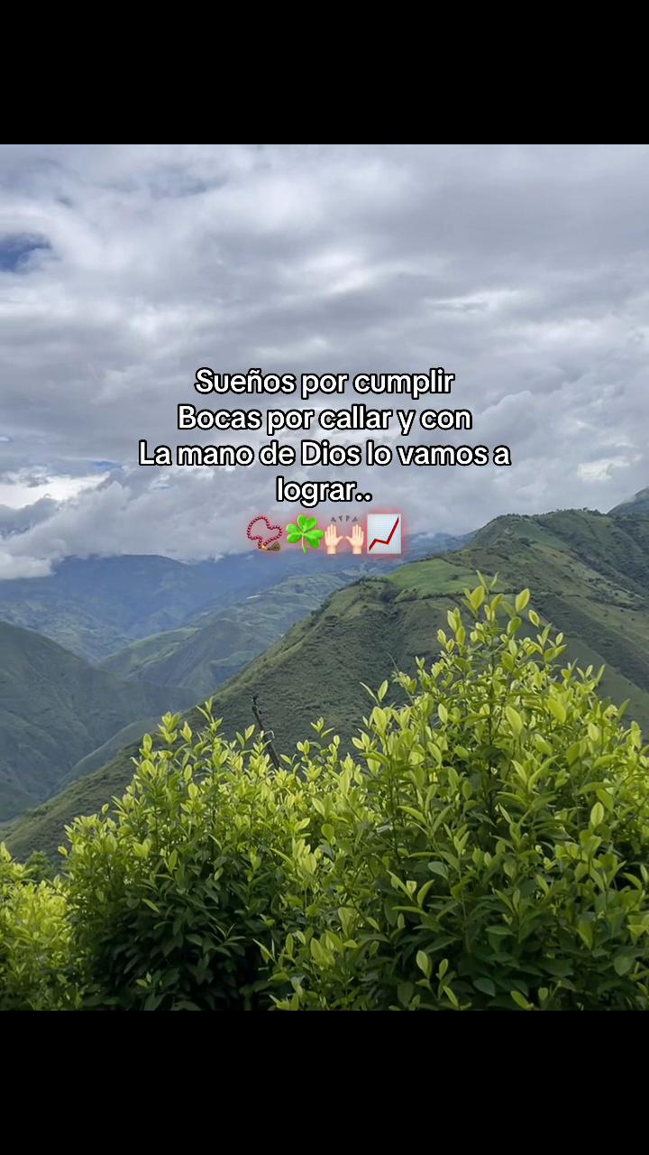 @彡[ʀᴏʟɪᴛᴀꜱ ツ࿐