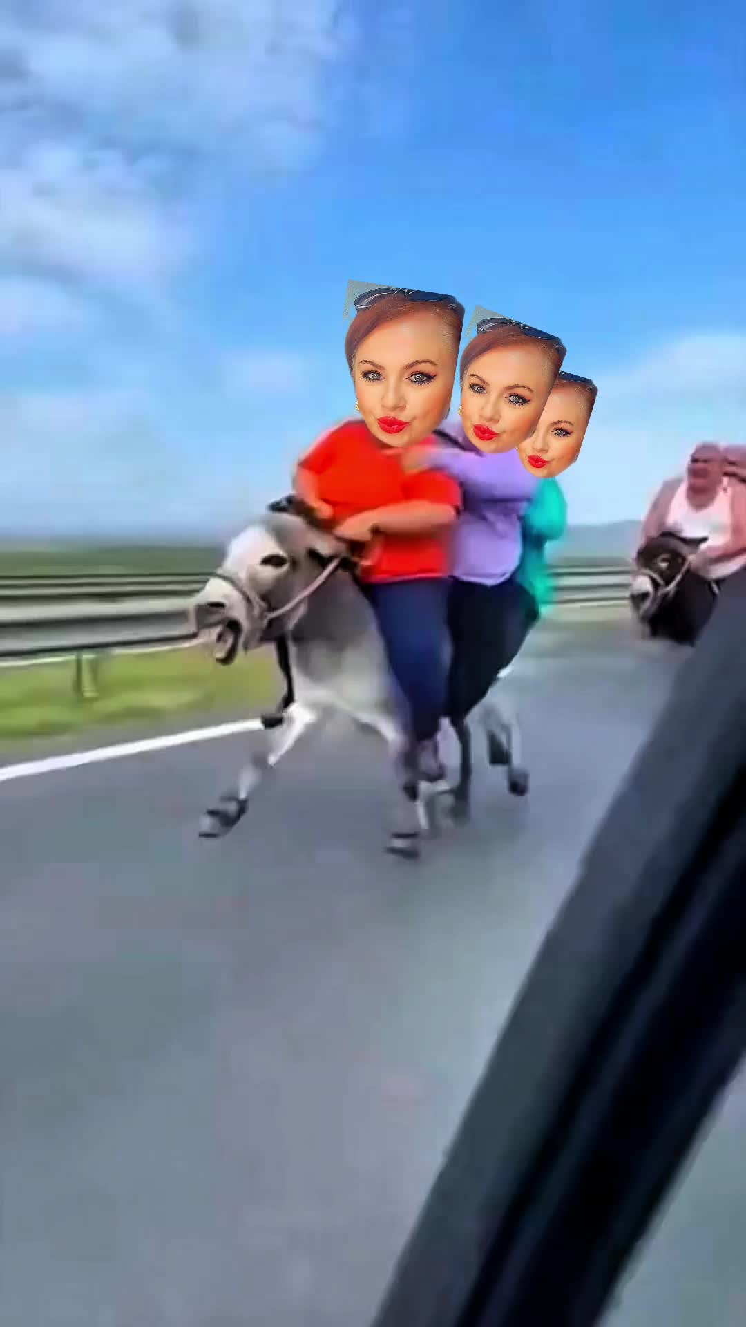 @LIDIJA ⚘️ 🇭🇷 🇩🇪