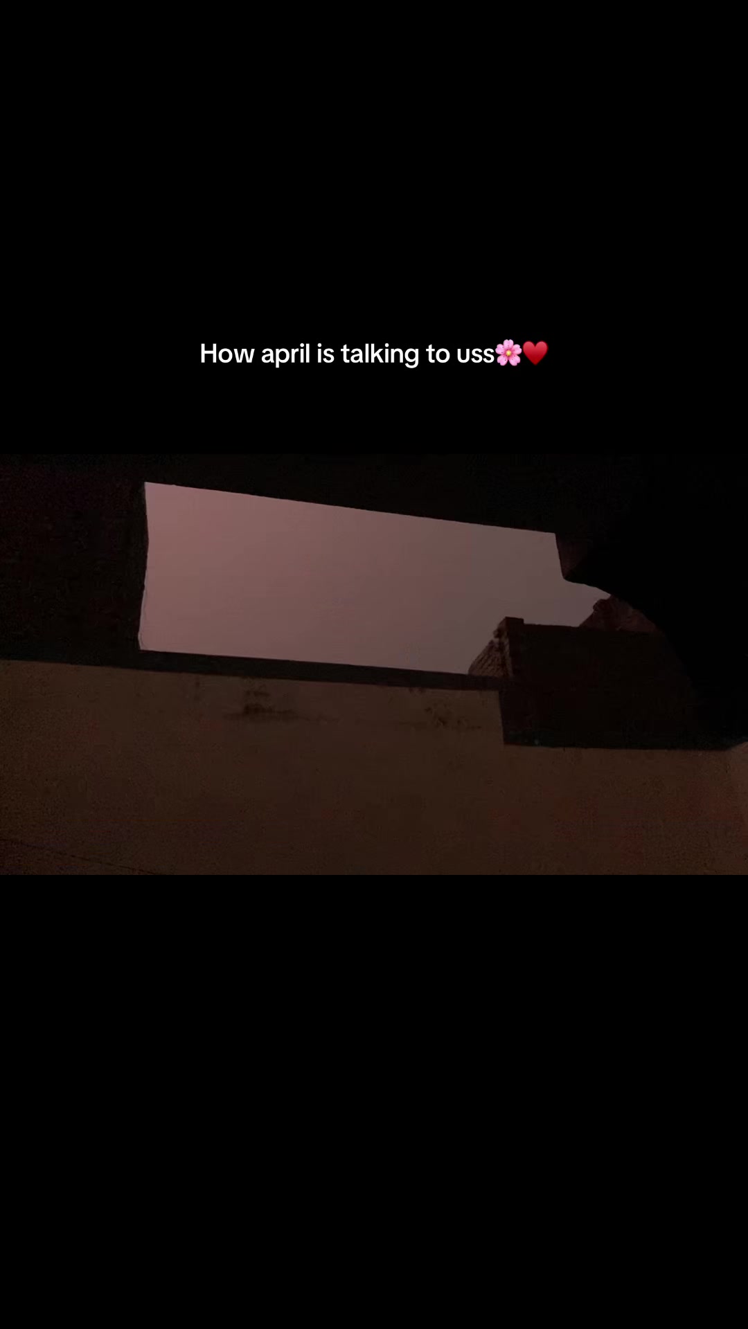 @bugsarts_
