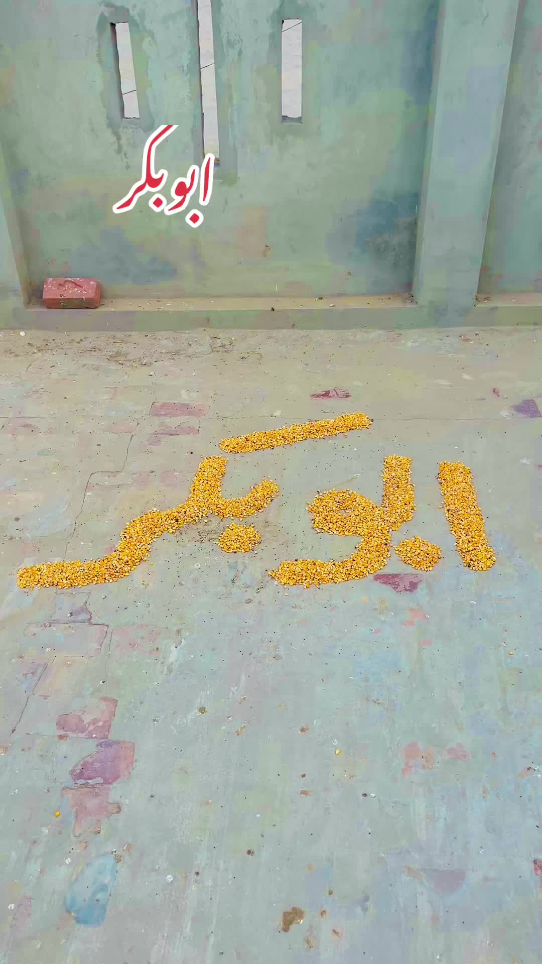 @Shahroz