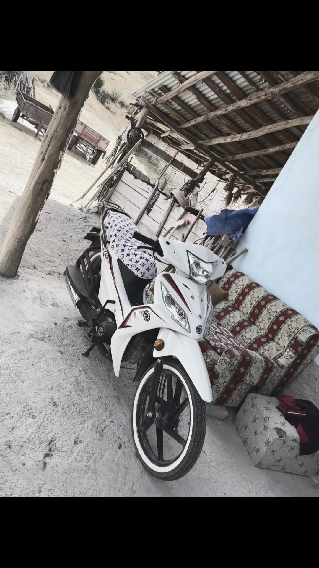 @ลABAN KOLTKA