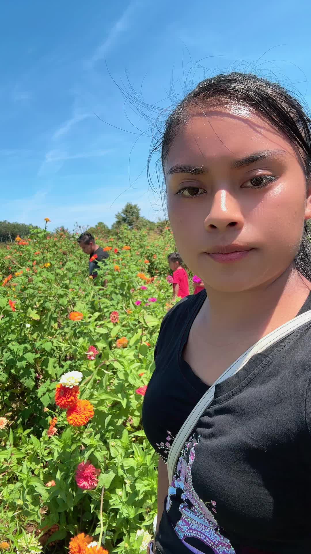 @Melissa Zacarias5
