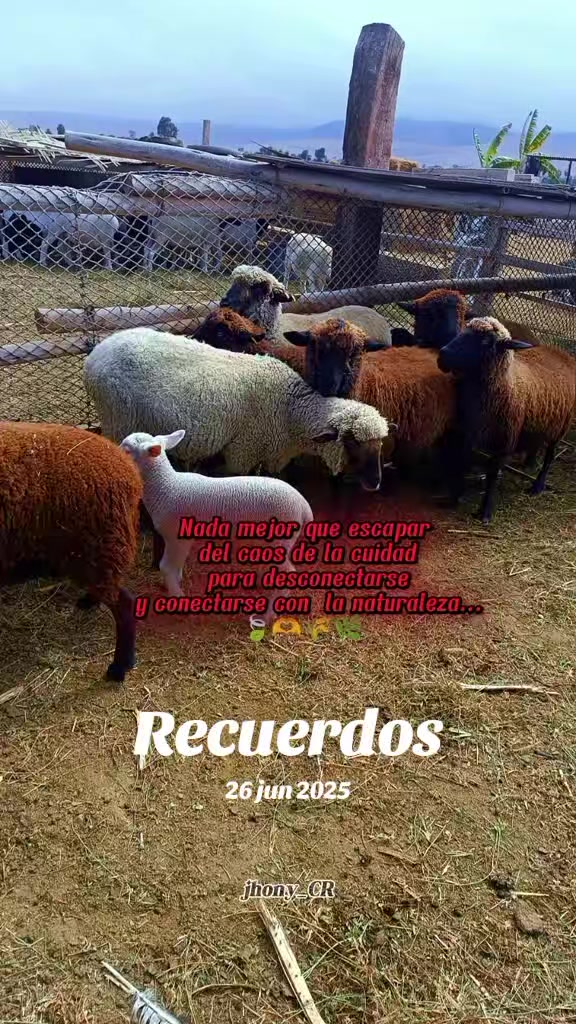 @❤️&zwj;🩹#FER 😎👉A.C❤️&zwj;🩹&trade;