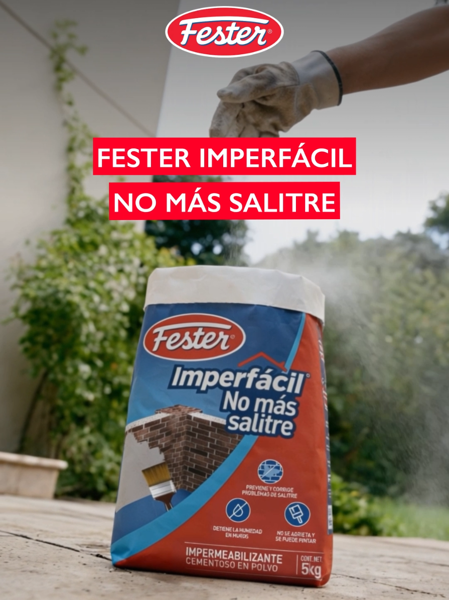 @Fester
