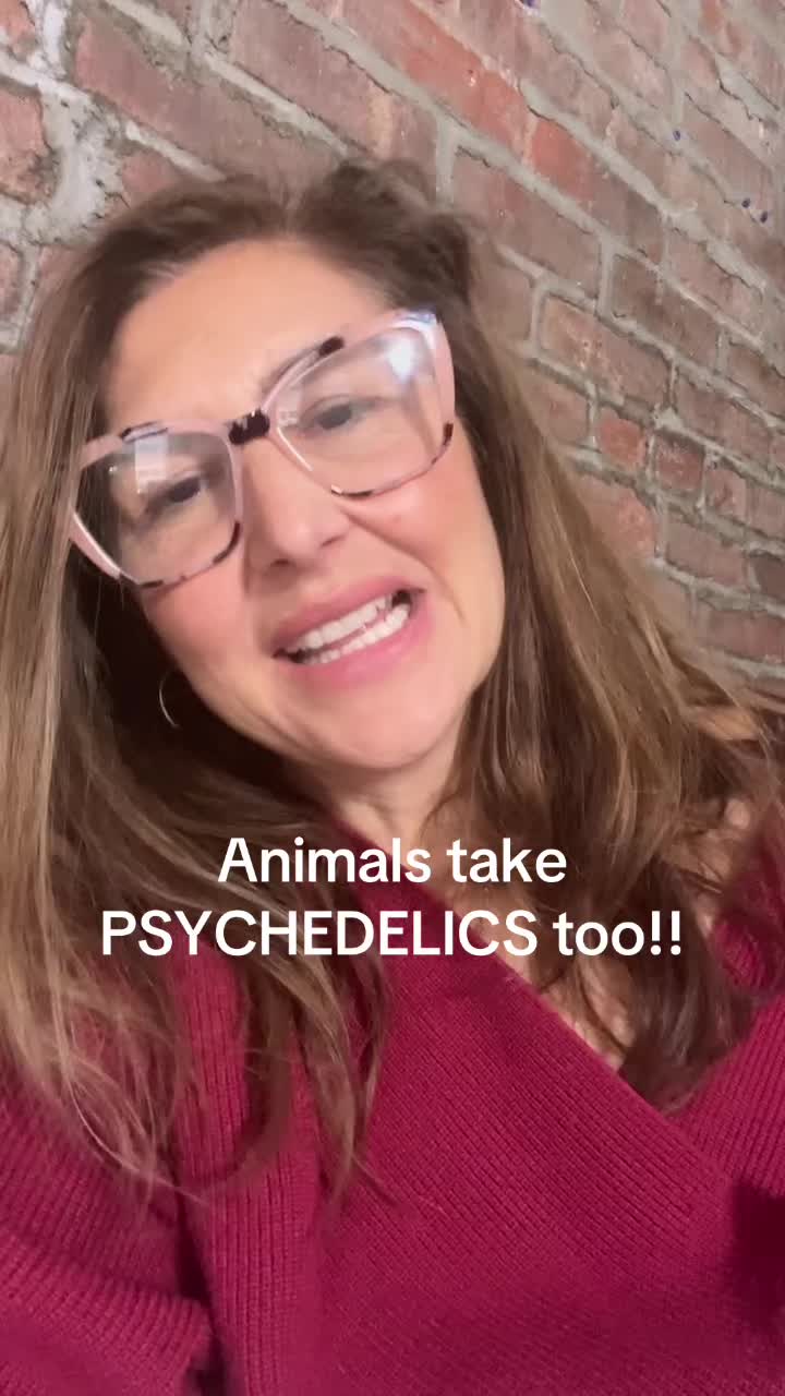 @🍄Alana Psydelic Educator