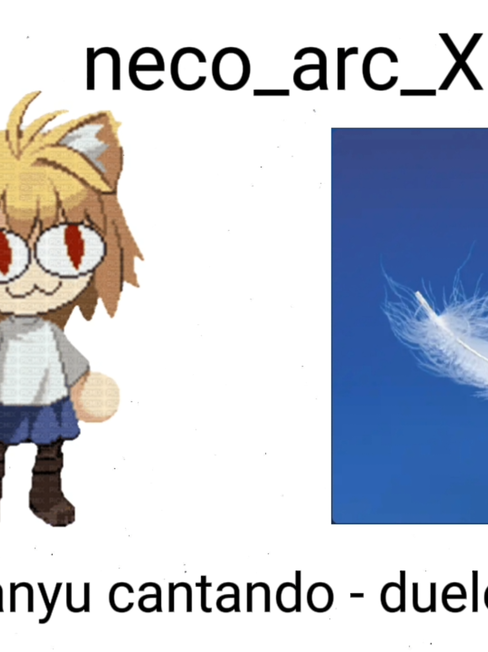 @neco_arc_XD