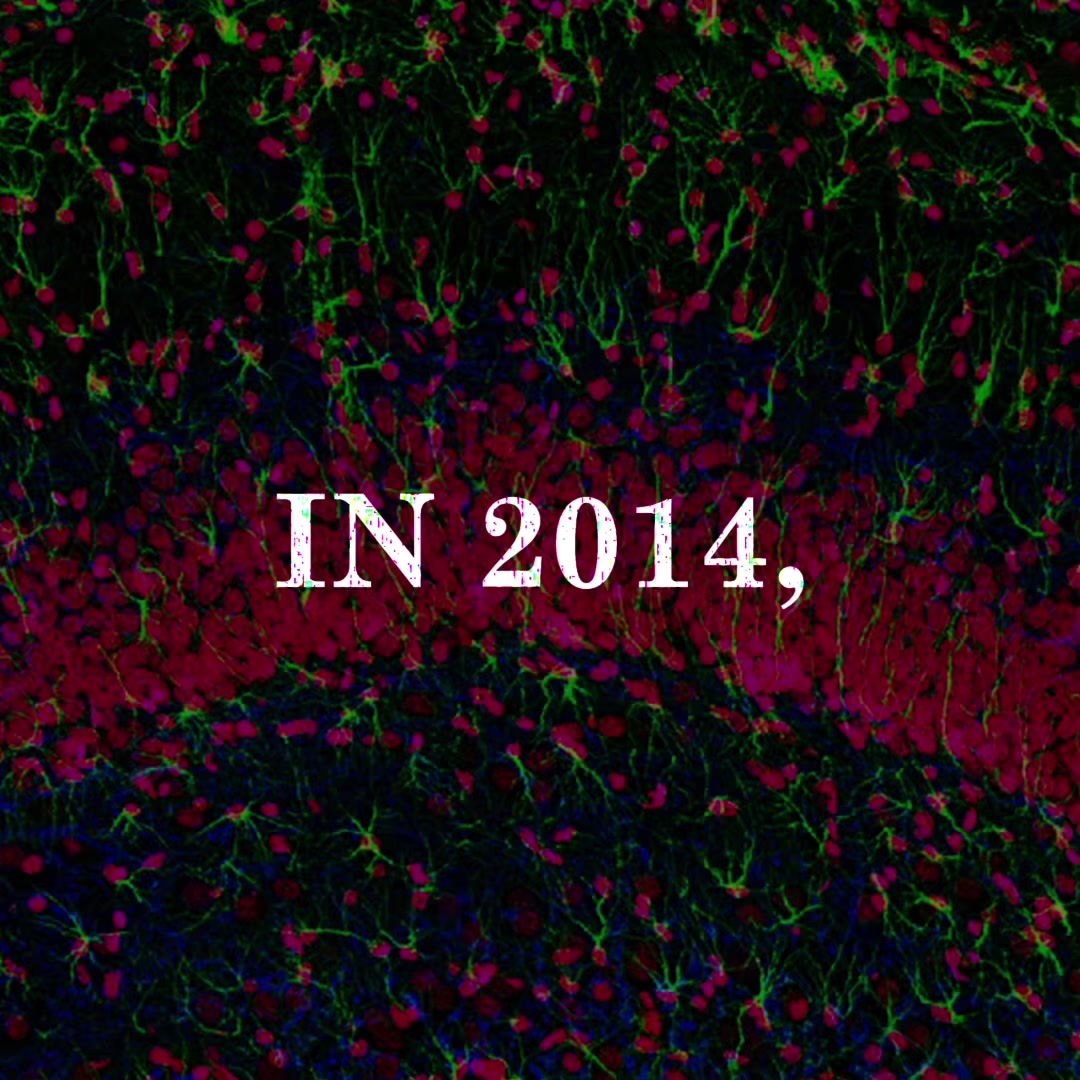 @neuro_glow