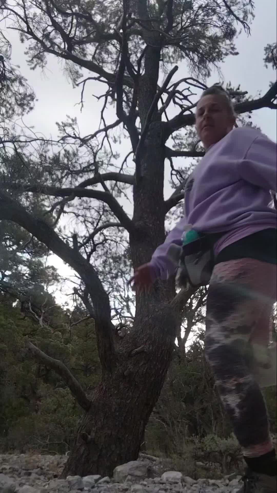 @KAR