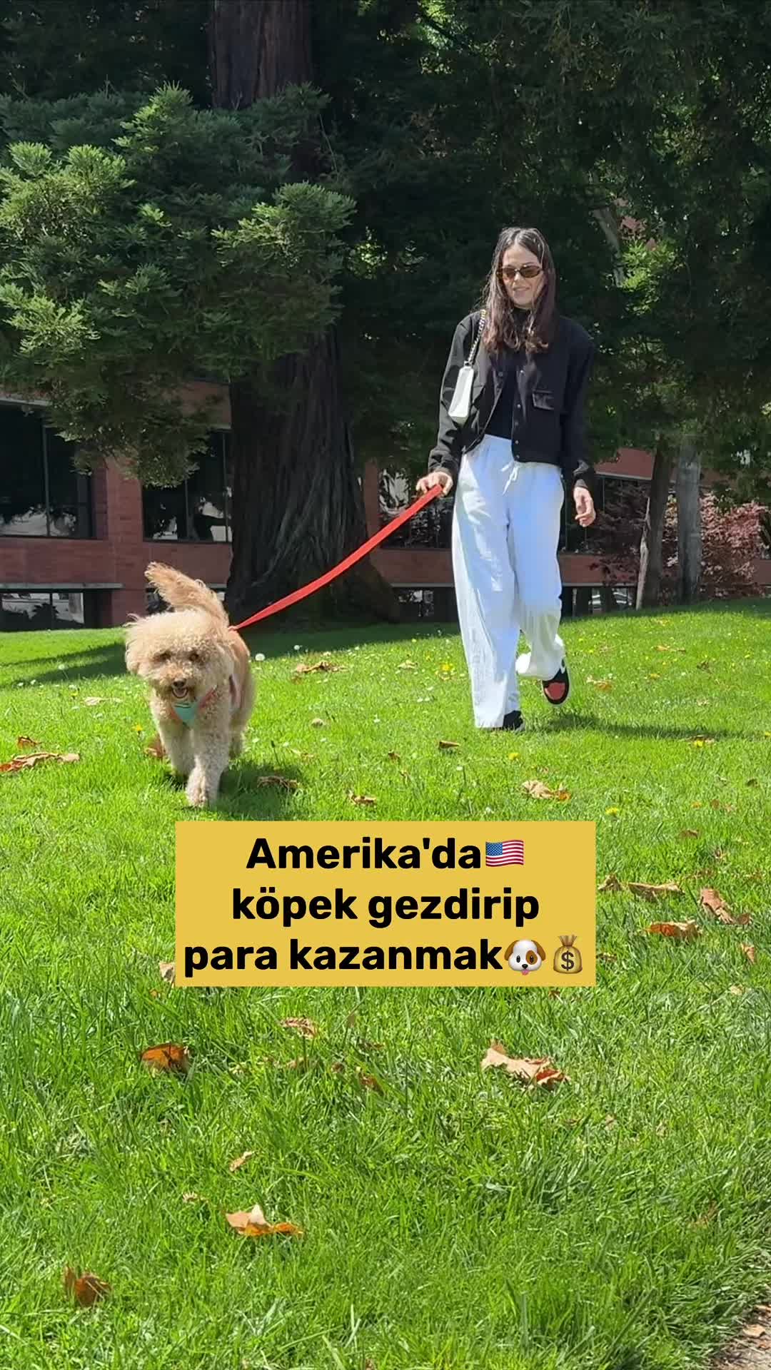@tanzilkadeniz
