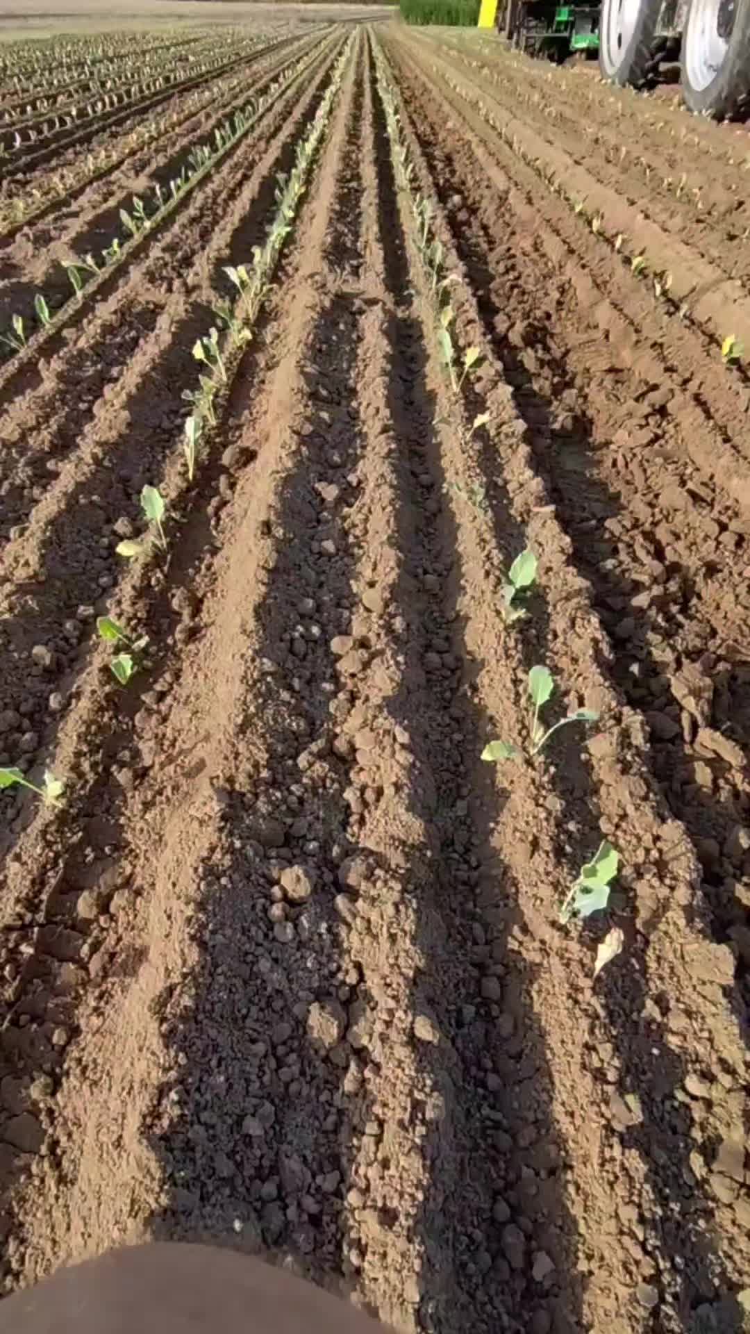 @Agriplant