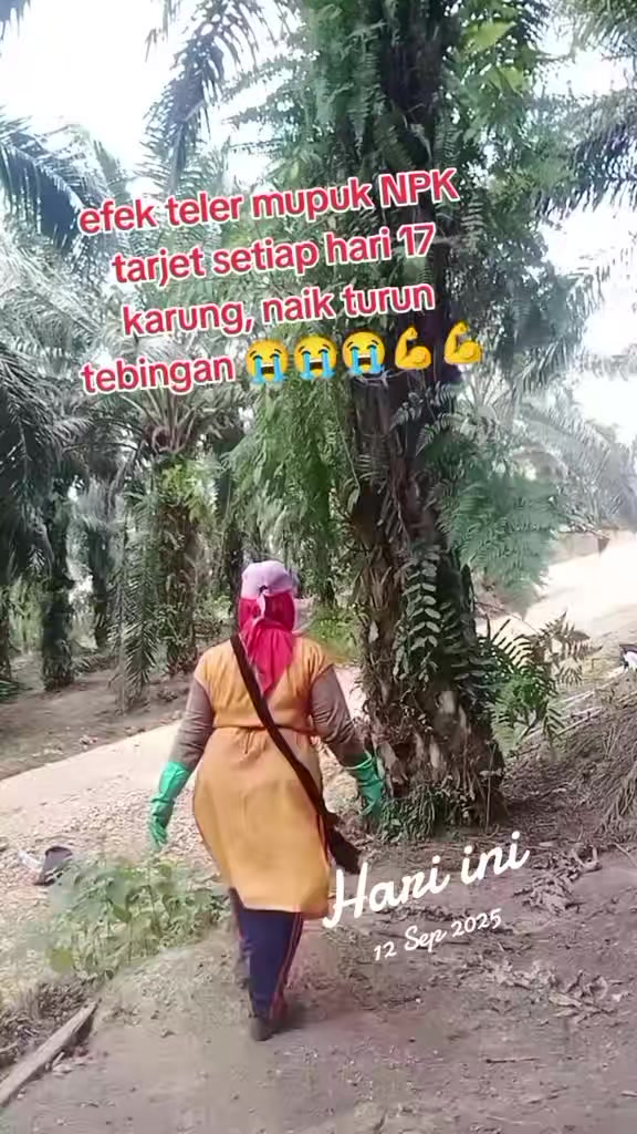 @wulandari