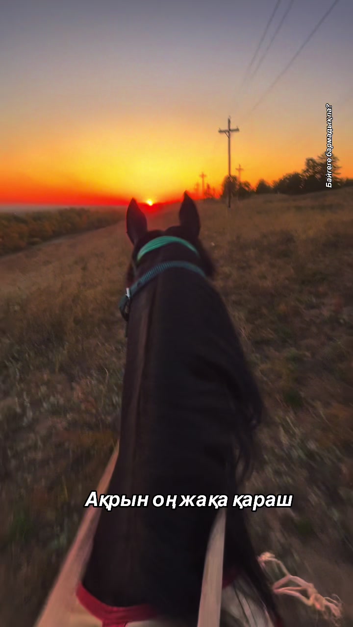 @Ergaliev_16