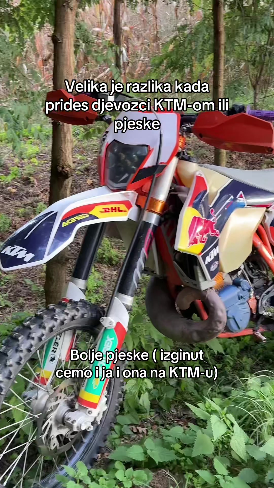 @dodek🥷🏼